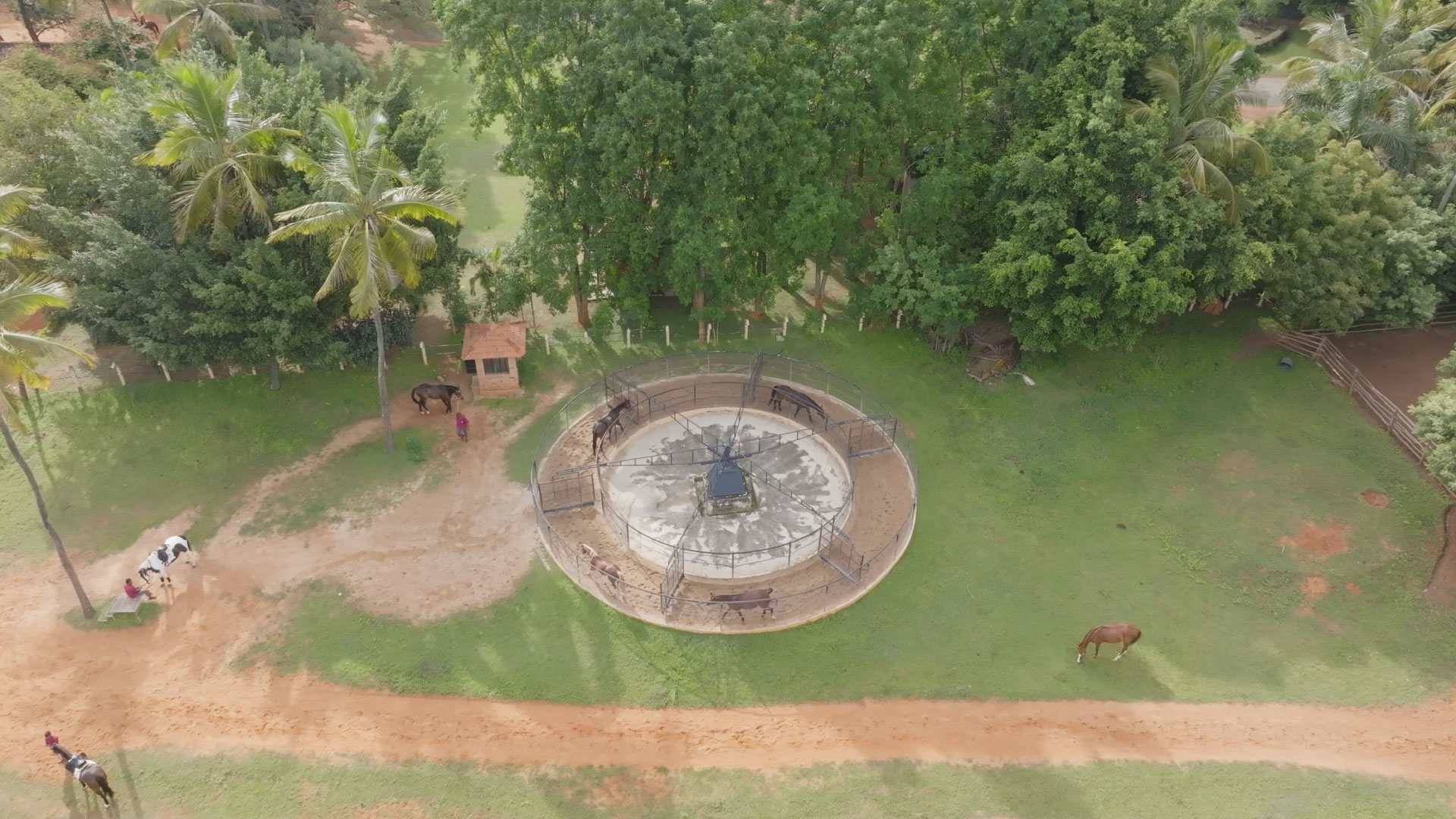 Ending the Day with a Delicious Italian Feast