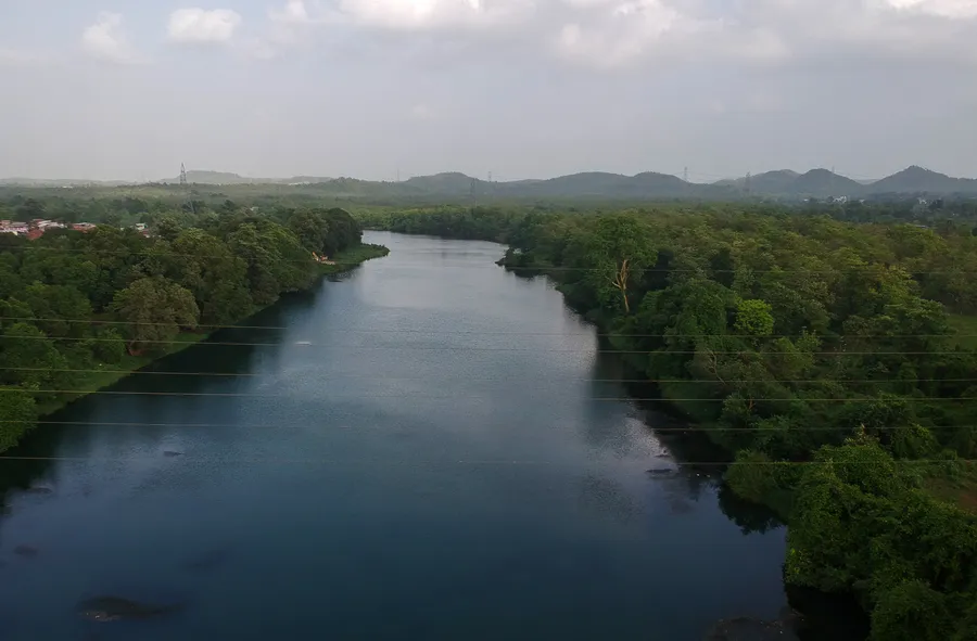 From riverside walks to paddling adventures with your pet