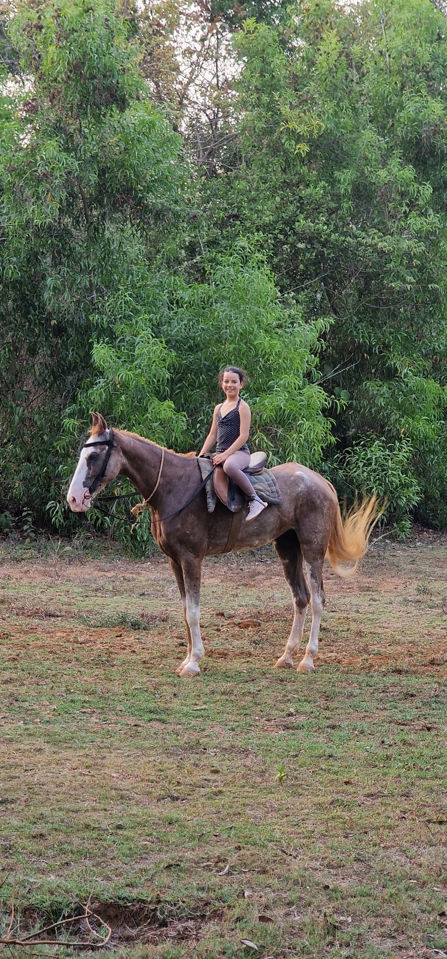 How it all starts: chilling at the ranch with horses