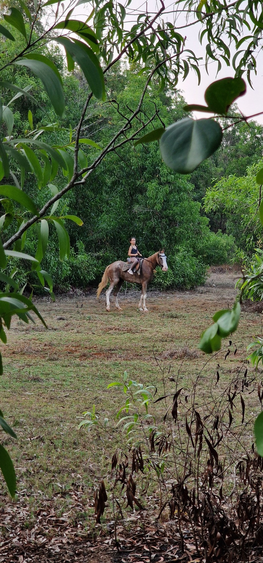 Riding through the jungle: your peaceful escape