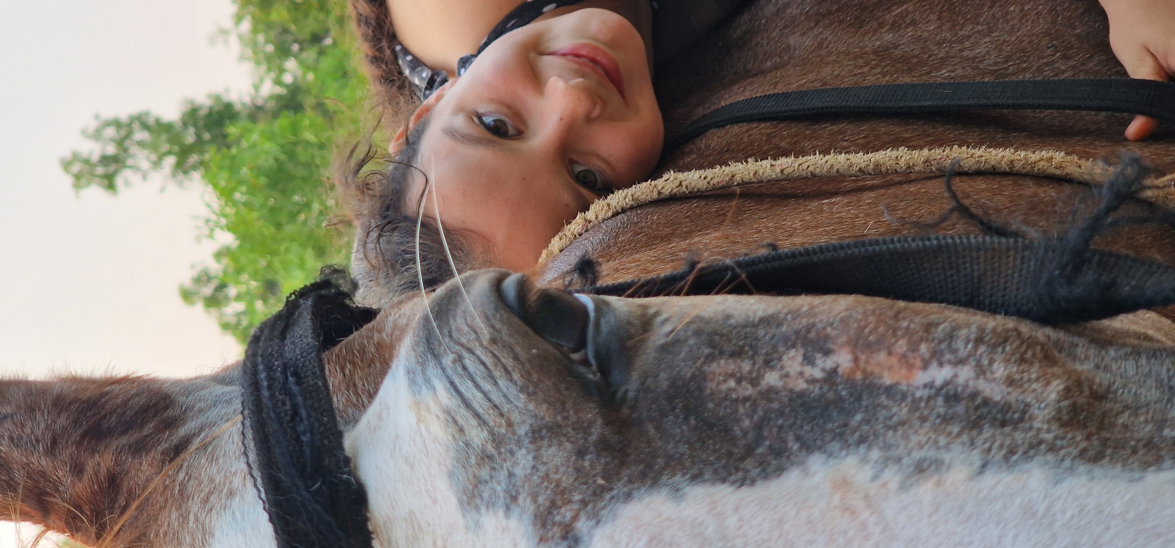 How it all began with a warm welcome and friendly horses