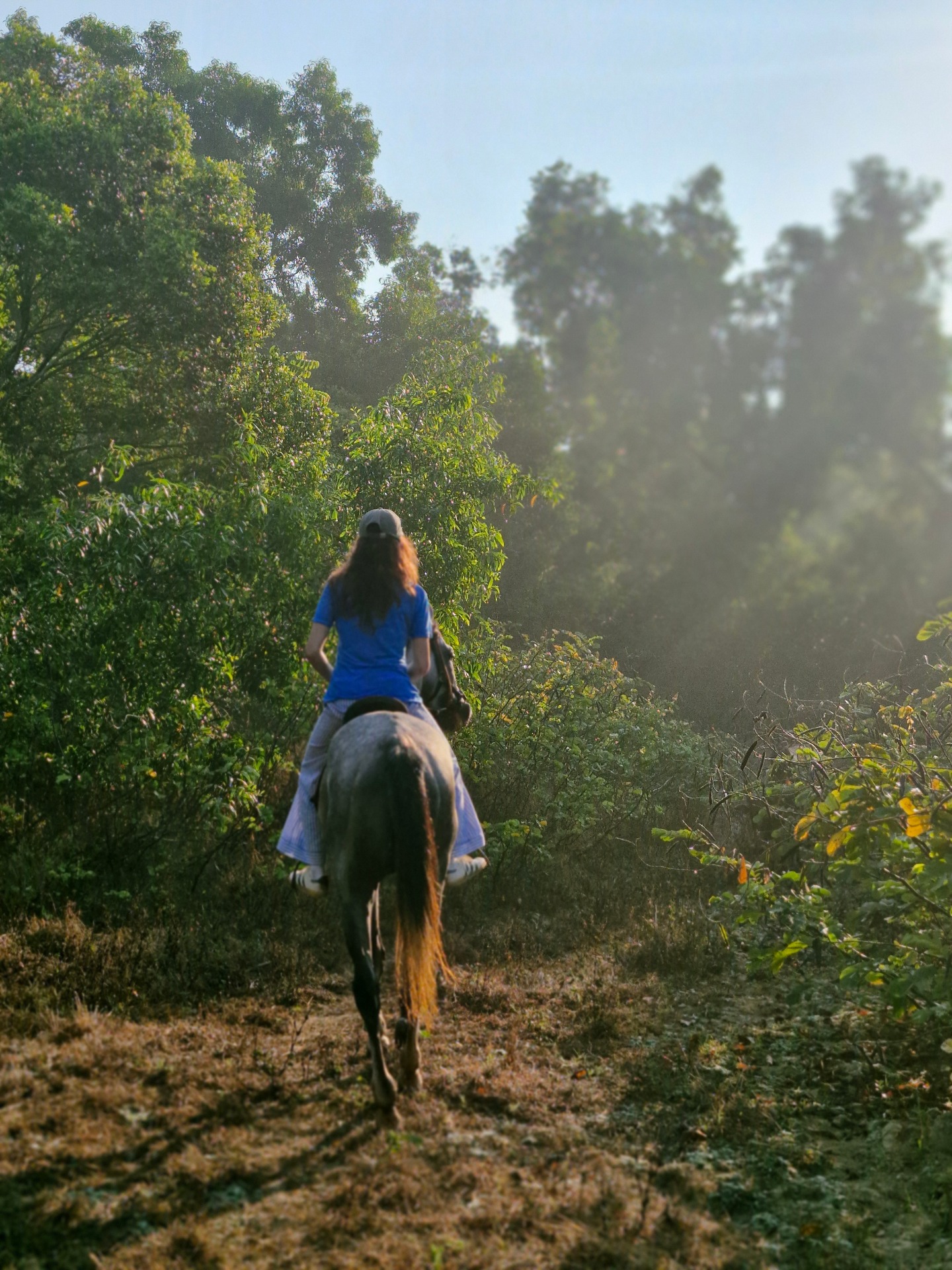 The Ride Through Goa’s Hidden Jungle Was Pure Magic