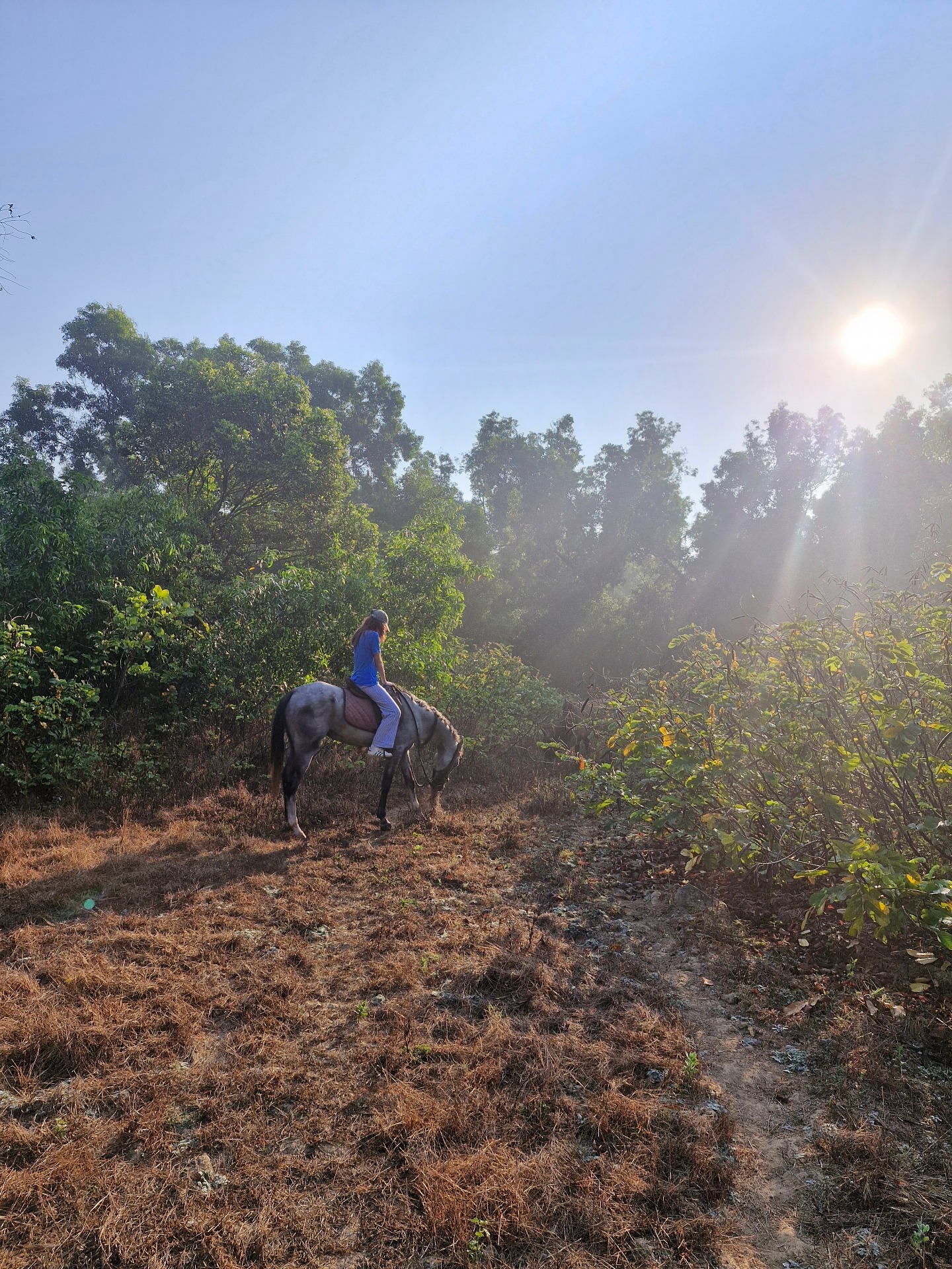 Riding through the jungle: your peaceful escape