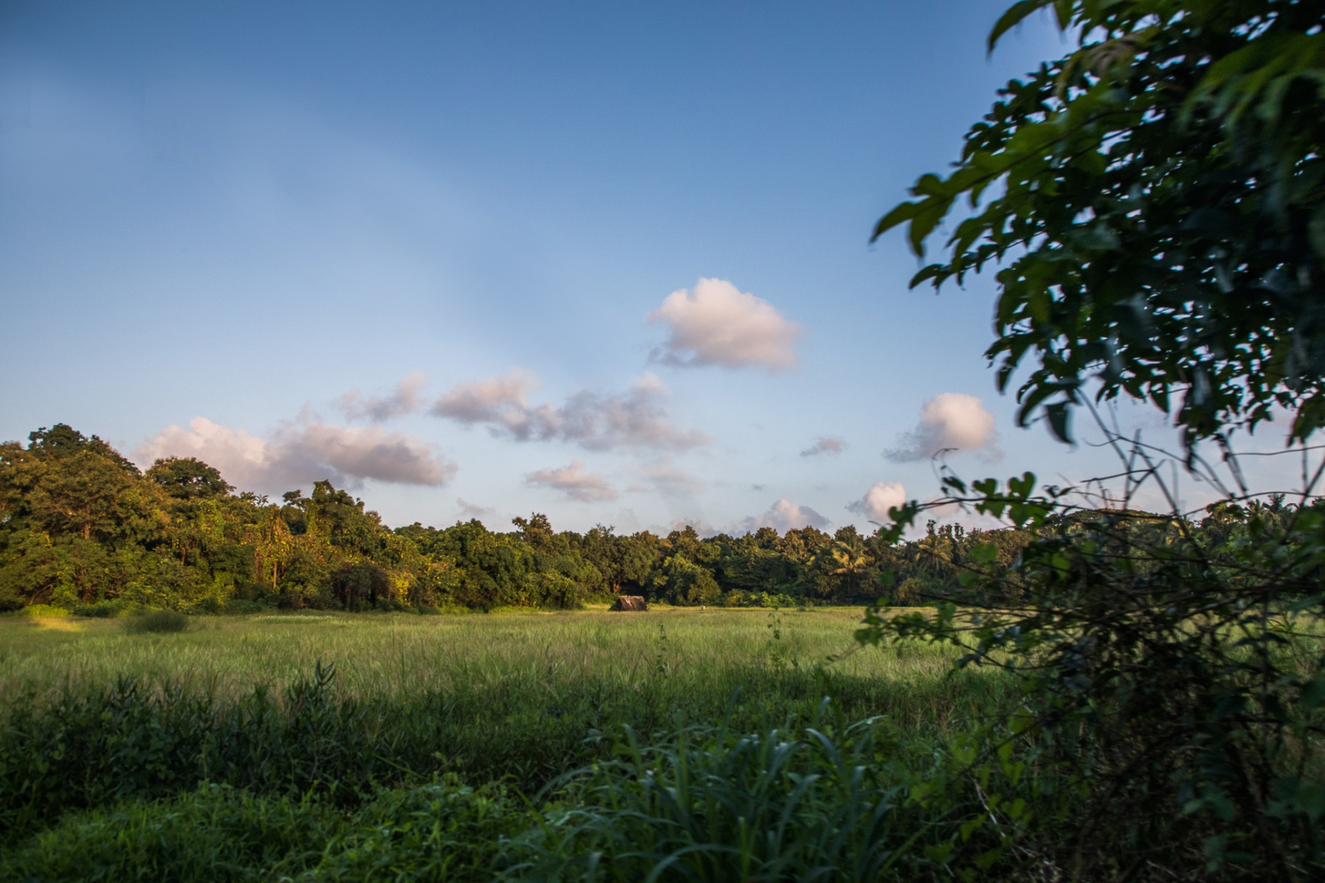 Gliding through island roads and hidden stories