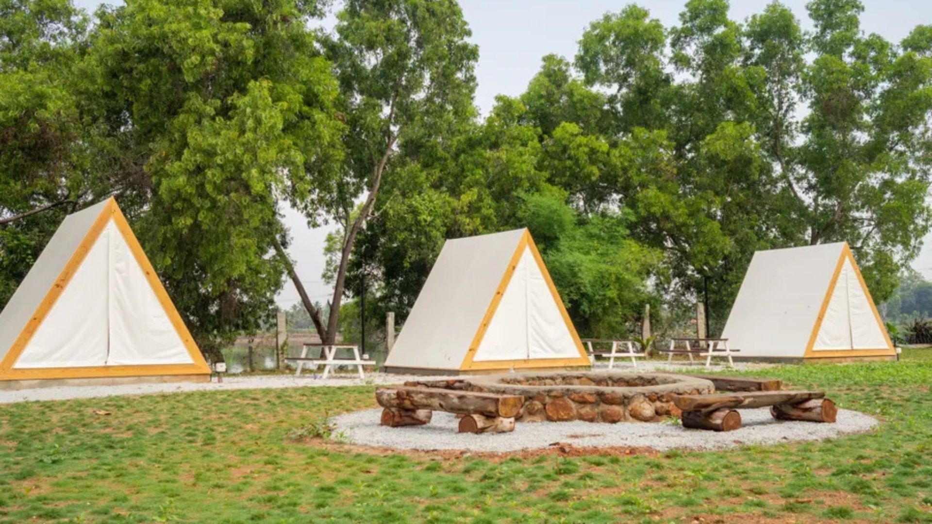 Waking Up to Nature and Sharing Memories