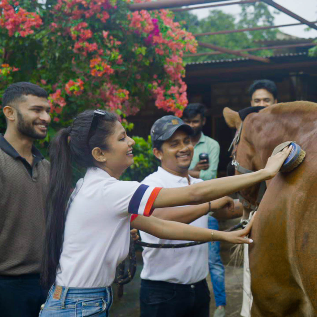 Feel the bond as you care for these majestic horses.