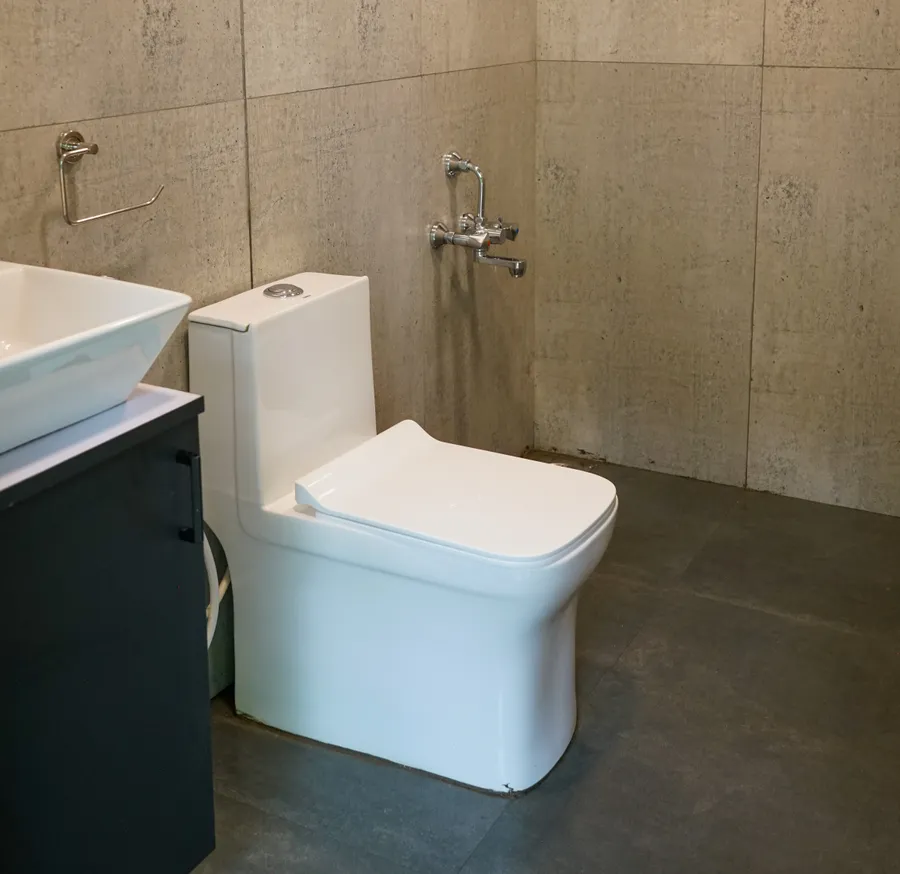 Why this camping experience is a must for pet lovers near Mumbai