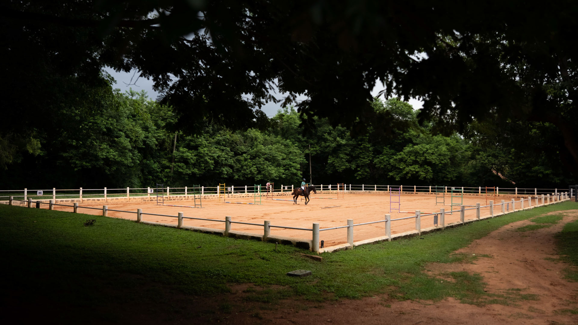 Gliding Through Lush Forest Trails Like a Dream