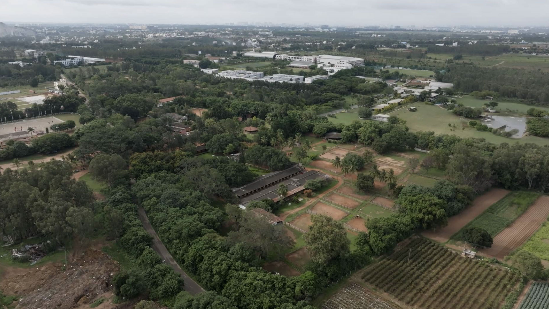 Ending on a Delicious Note at Ai Cavalli