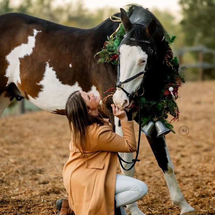 Getting to Know the Horses and Ponies Up Close