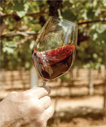 Relaxing and Exploring After the Experience