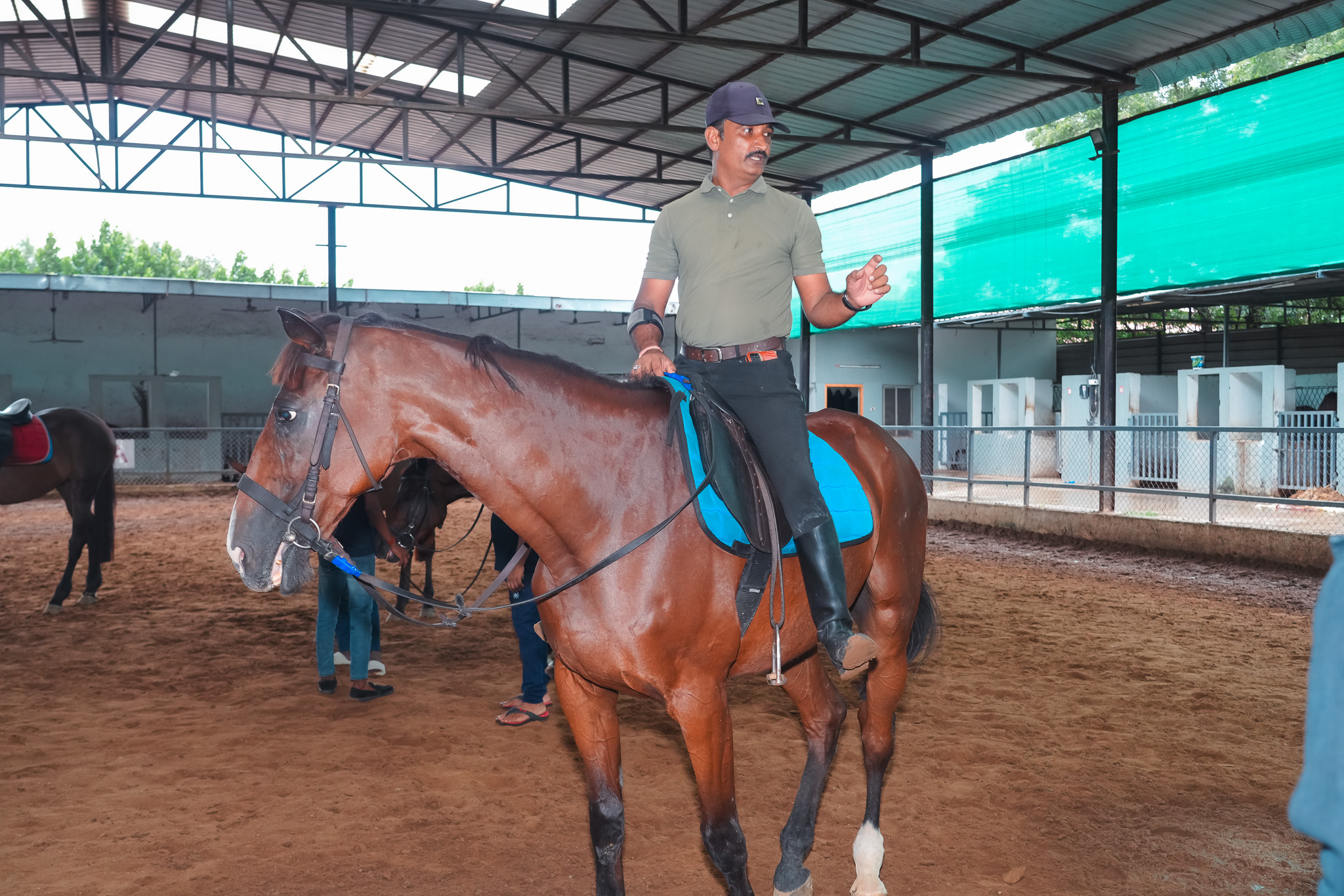 Riding Lesson: Finding Your Balance and Rhythm