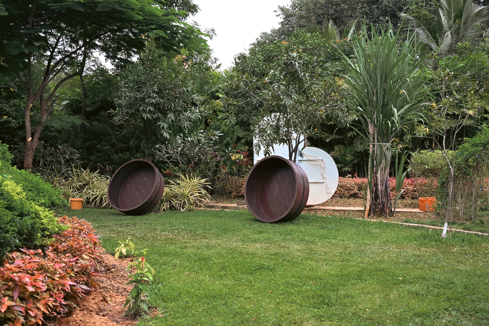 A stroll through grapevines that feels like a little adventure