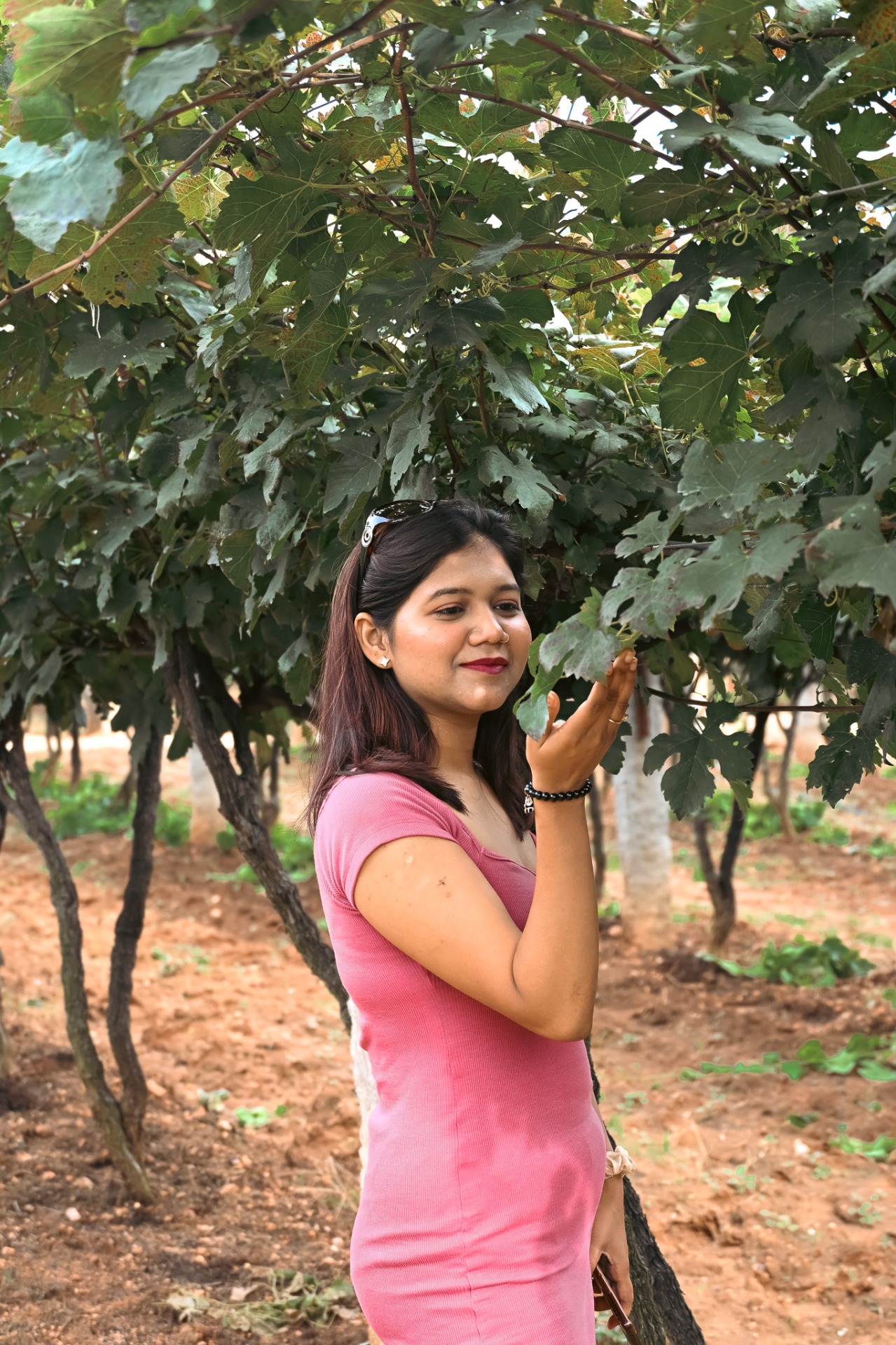 Walking Through the Heart of the Vineyard