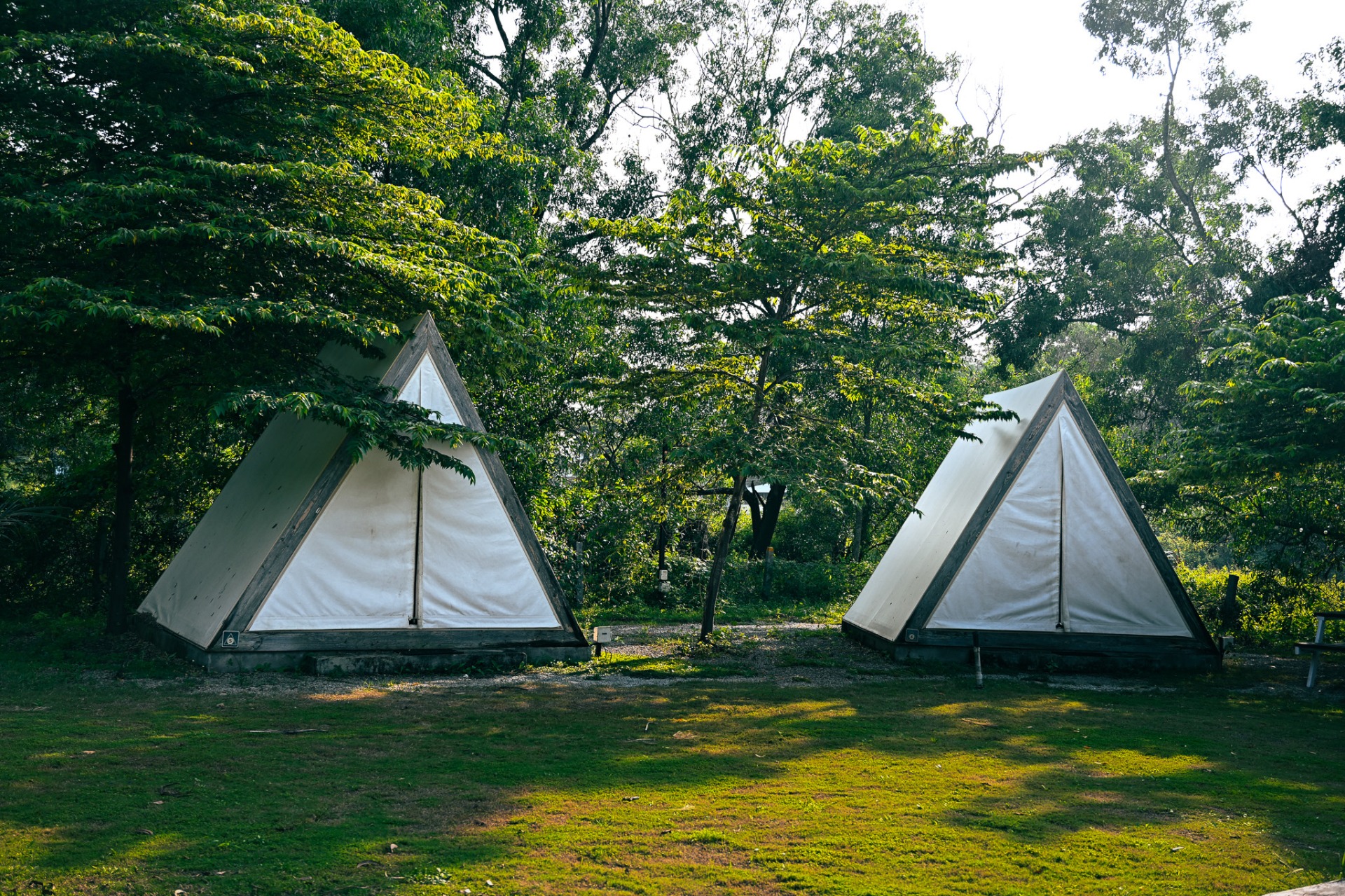 How to Make the Most of Your Bonfire Sing-Along Under the Stars