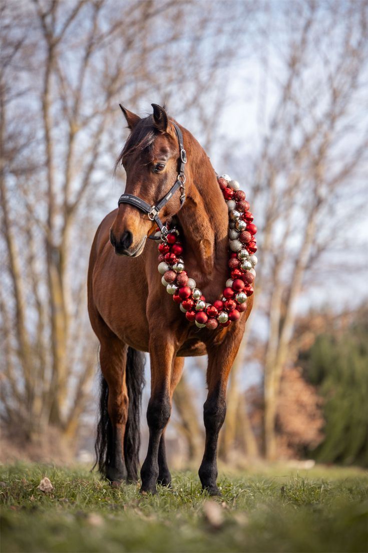 Why This Celebration Stuck With Me