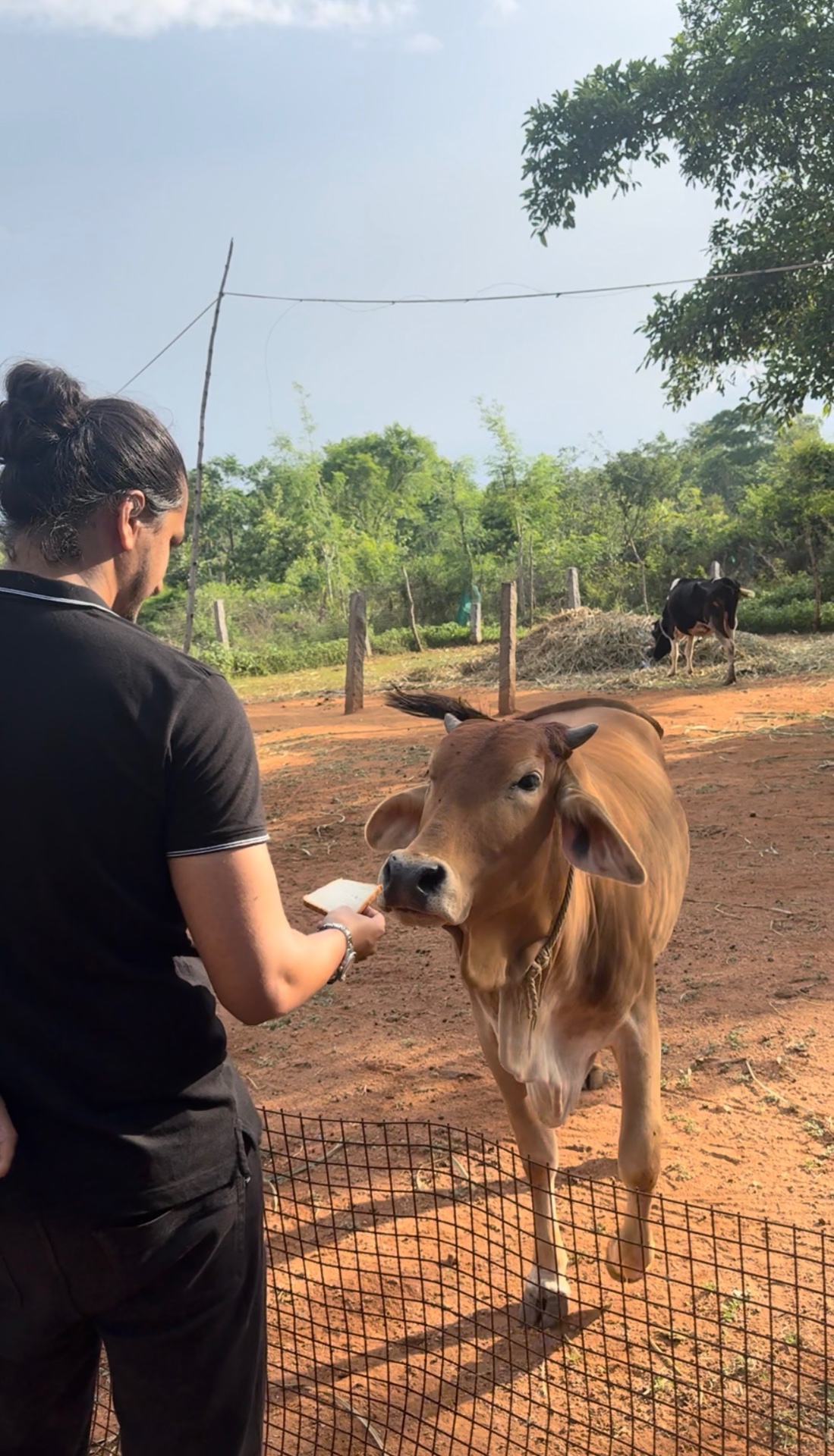 Fun with Farm Animals and Off-Road Thrills