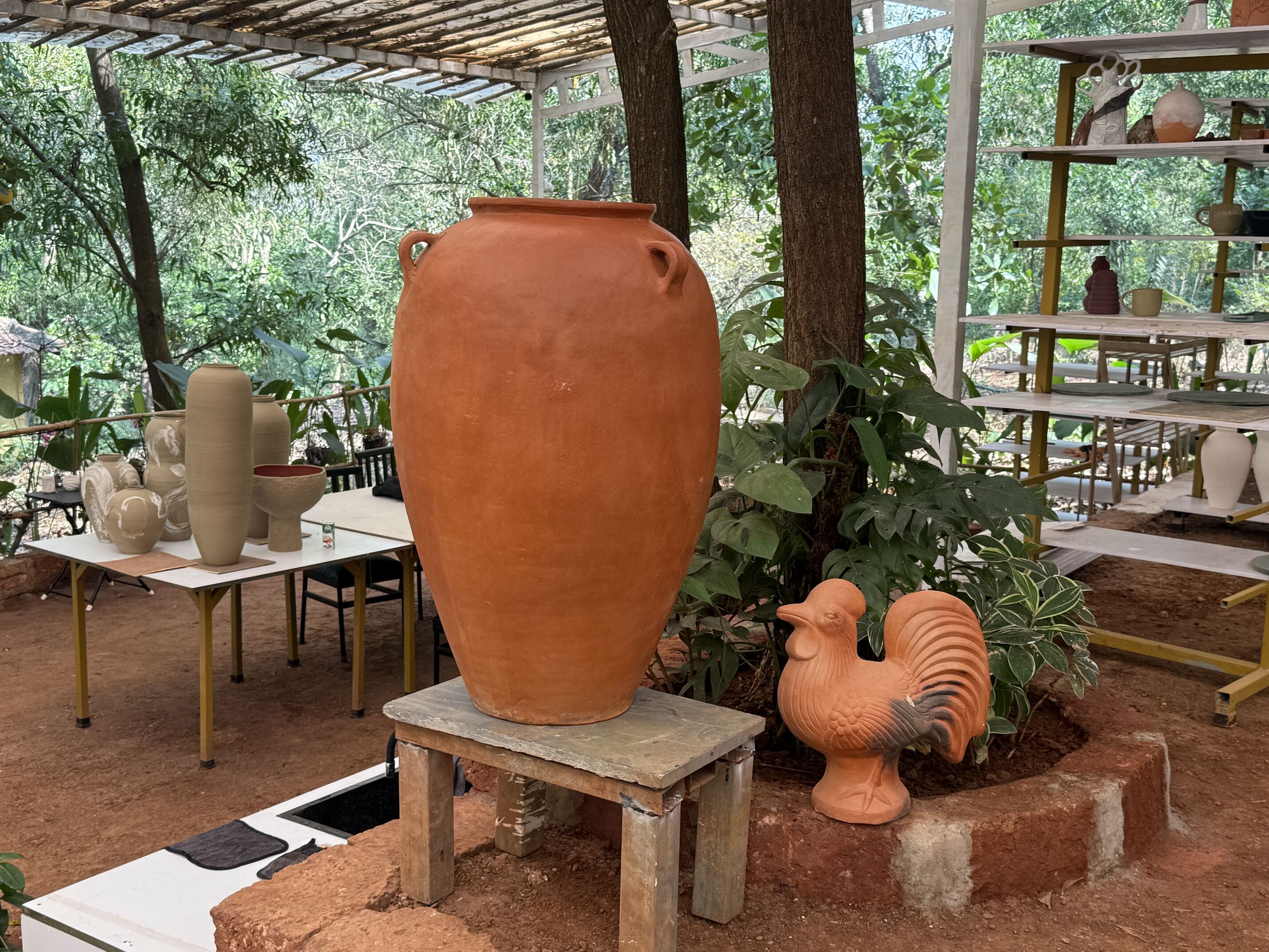 More Reasons to Love This Experience