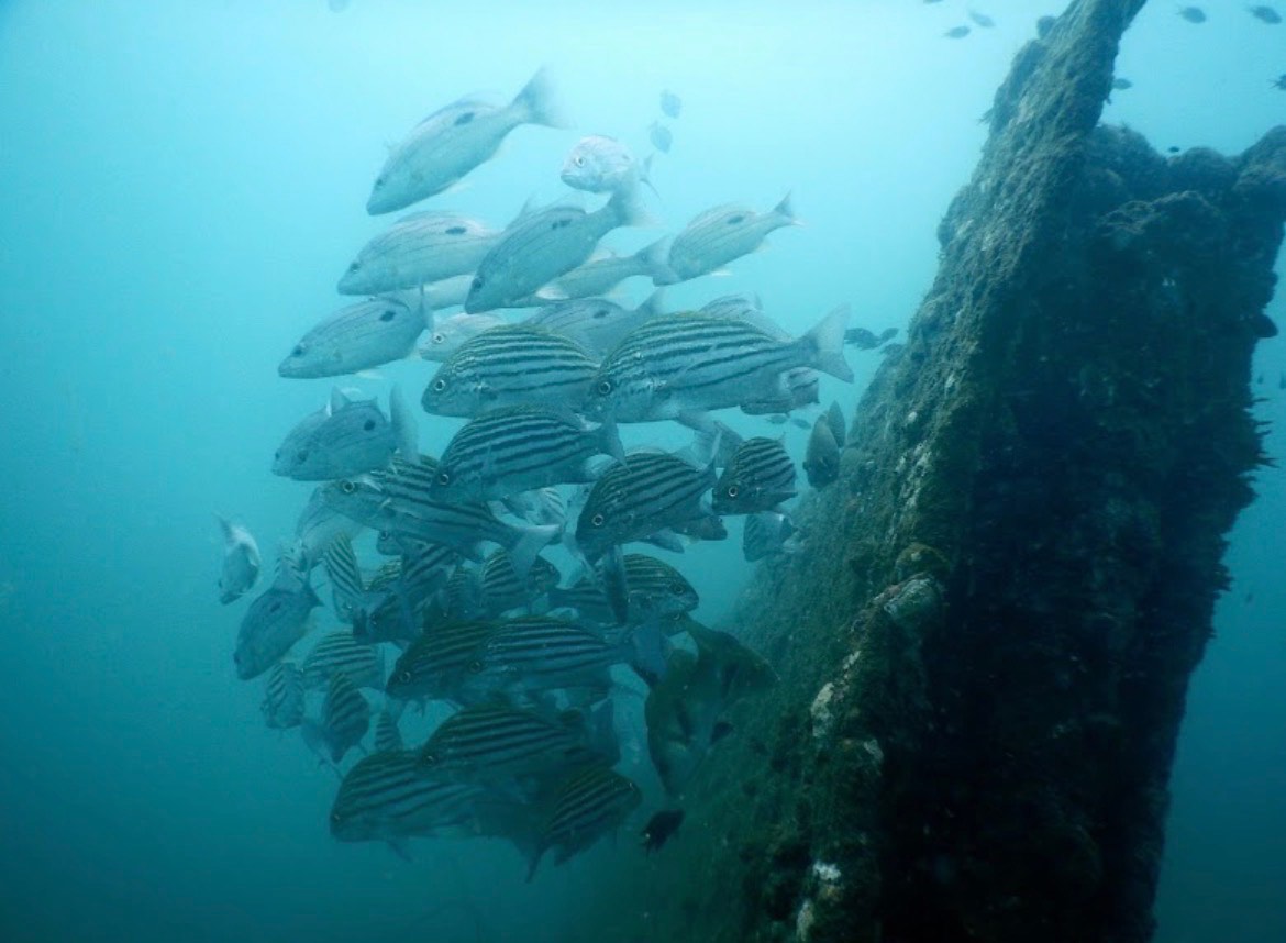 Why You Should Definitely Try This Adventure