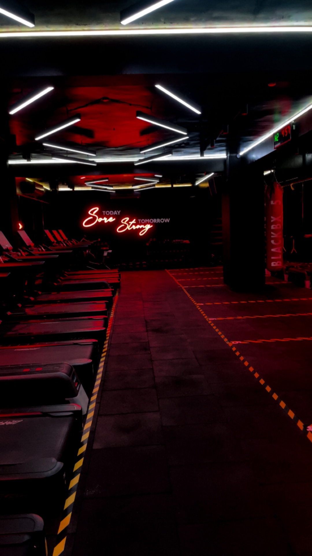 Sweat, Strength, and That Fighter’s Heartbeat