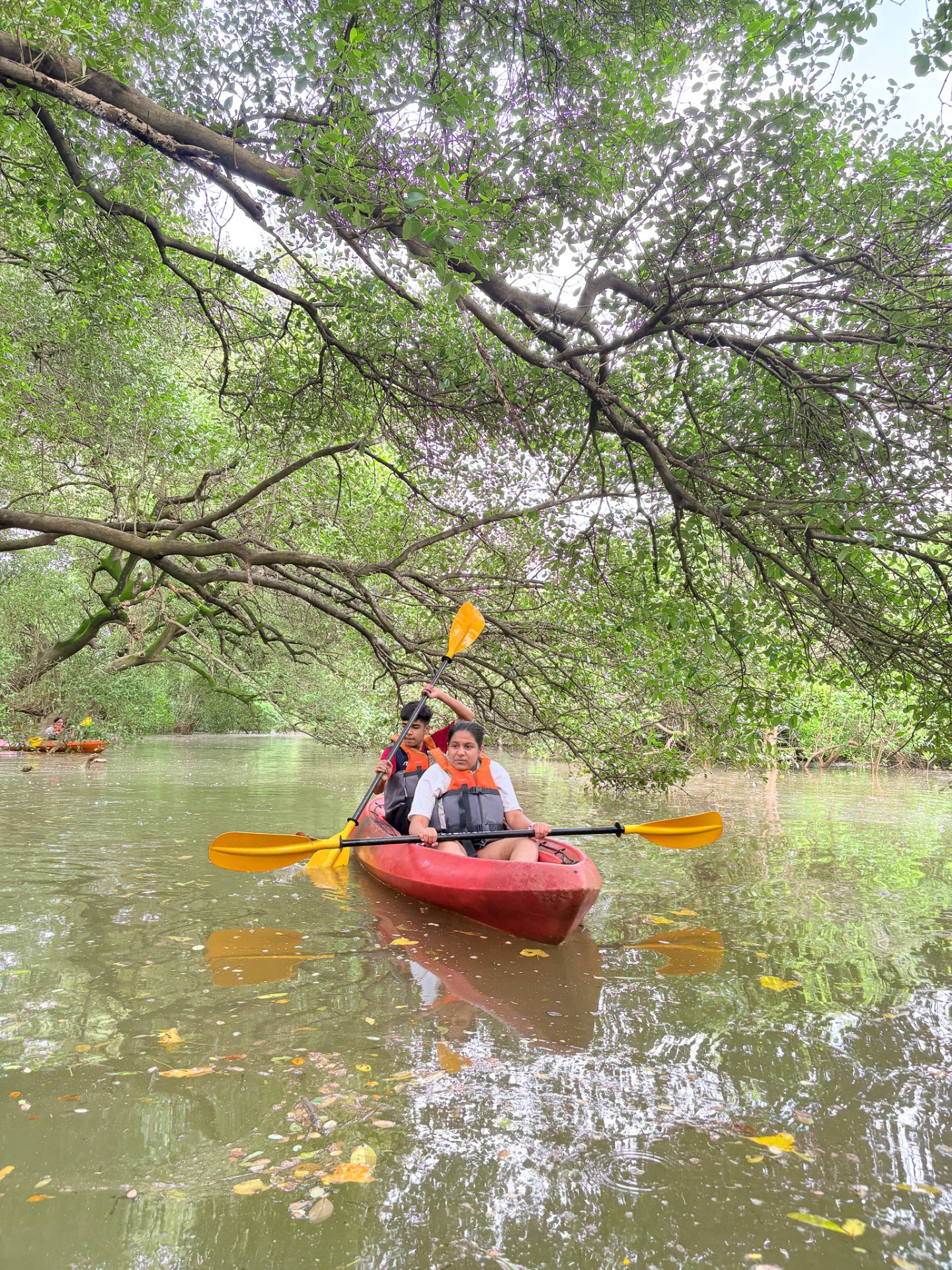 Two people paddling a red kayak under arching branches in a serene mangrove river setting.