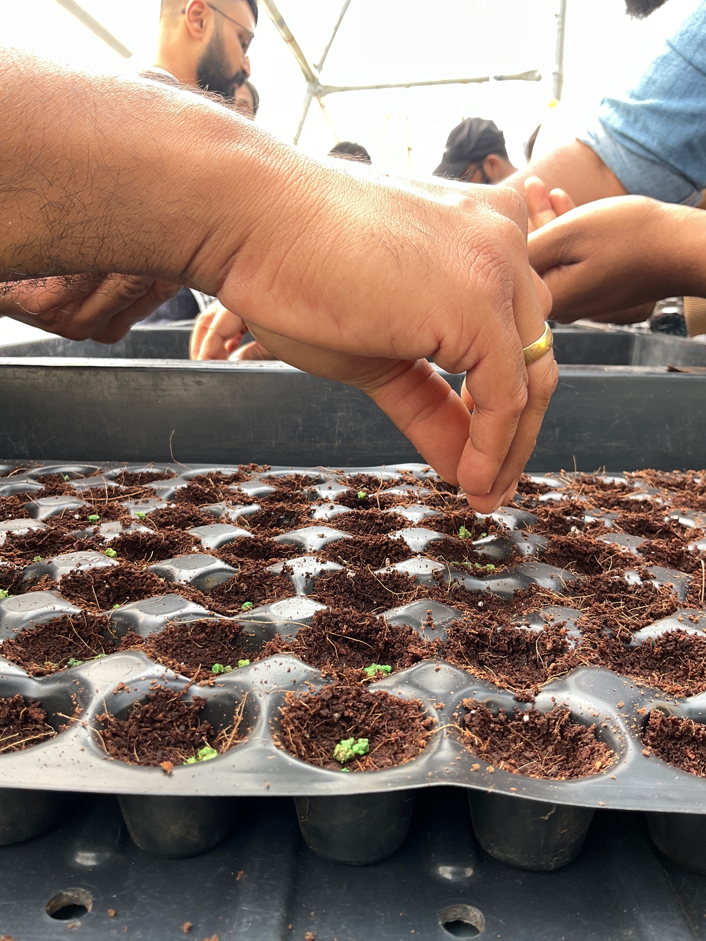 Rolling Up Your Sleeves with Seeding and Science