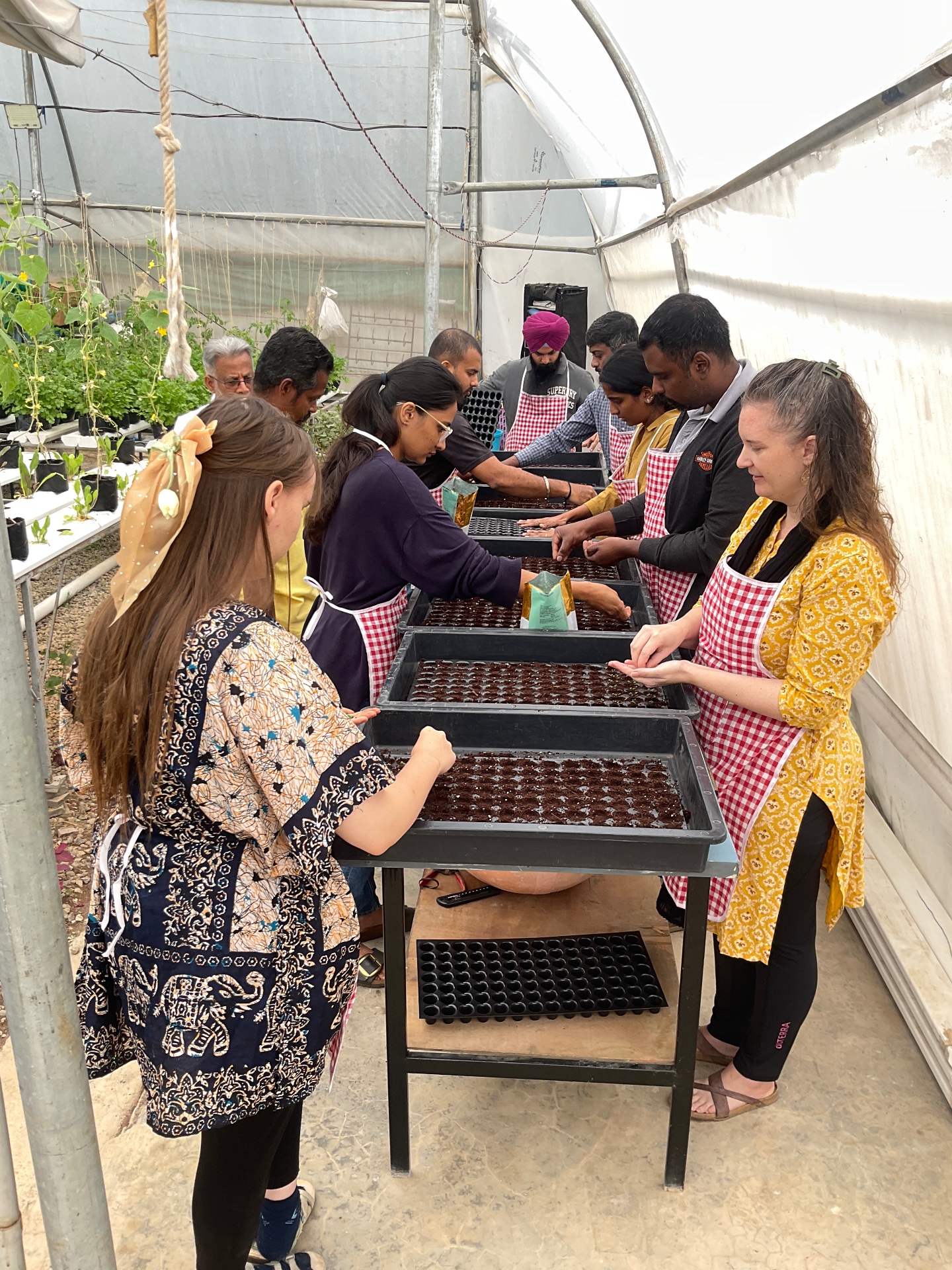 Getting hands dirty in the polyhouse magic