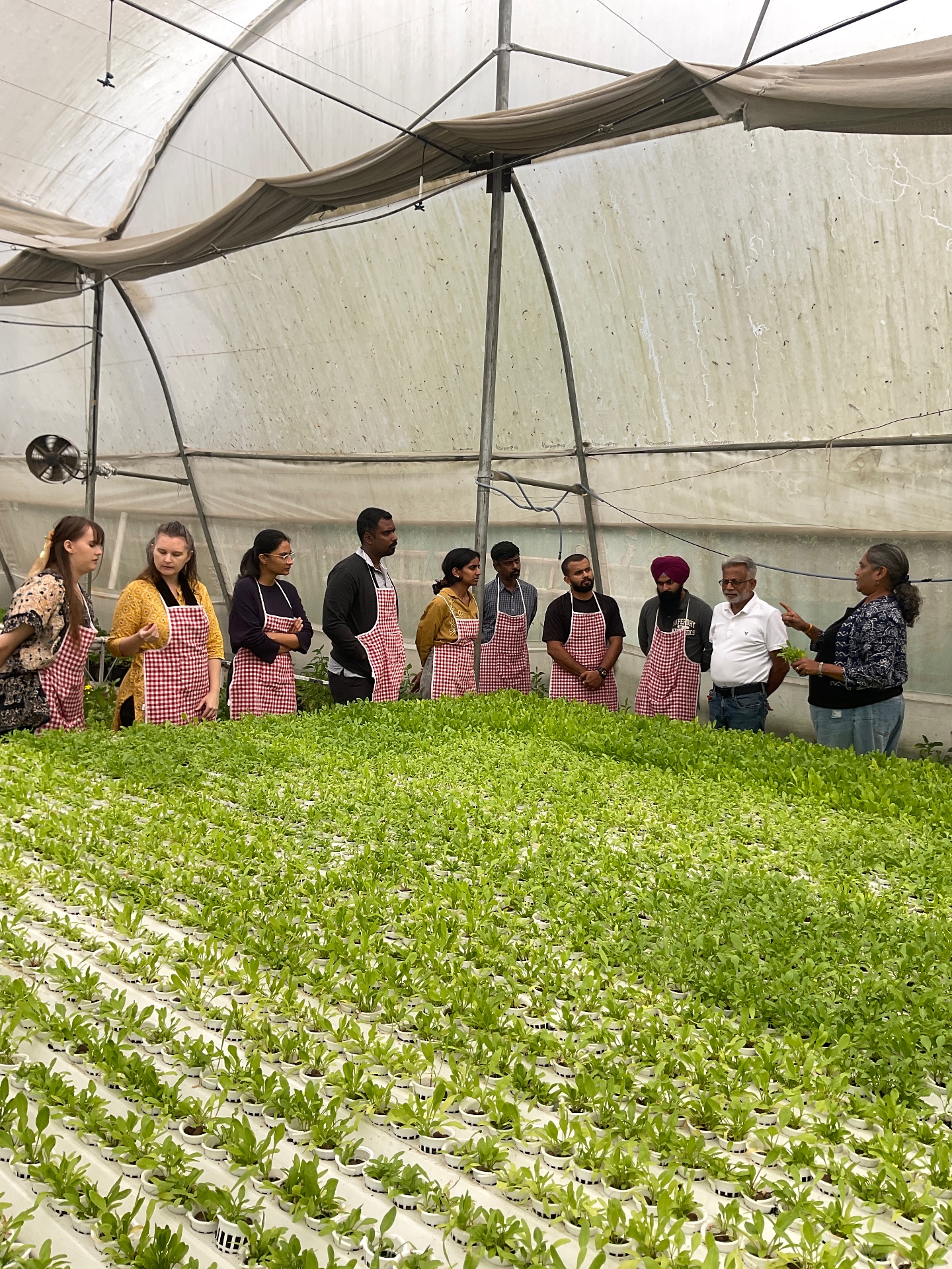 The business side: making your green dream sustainable