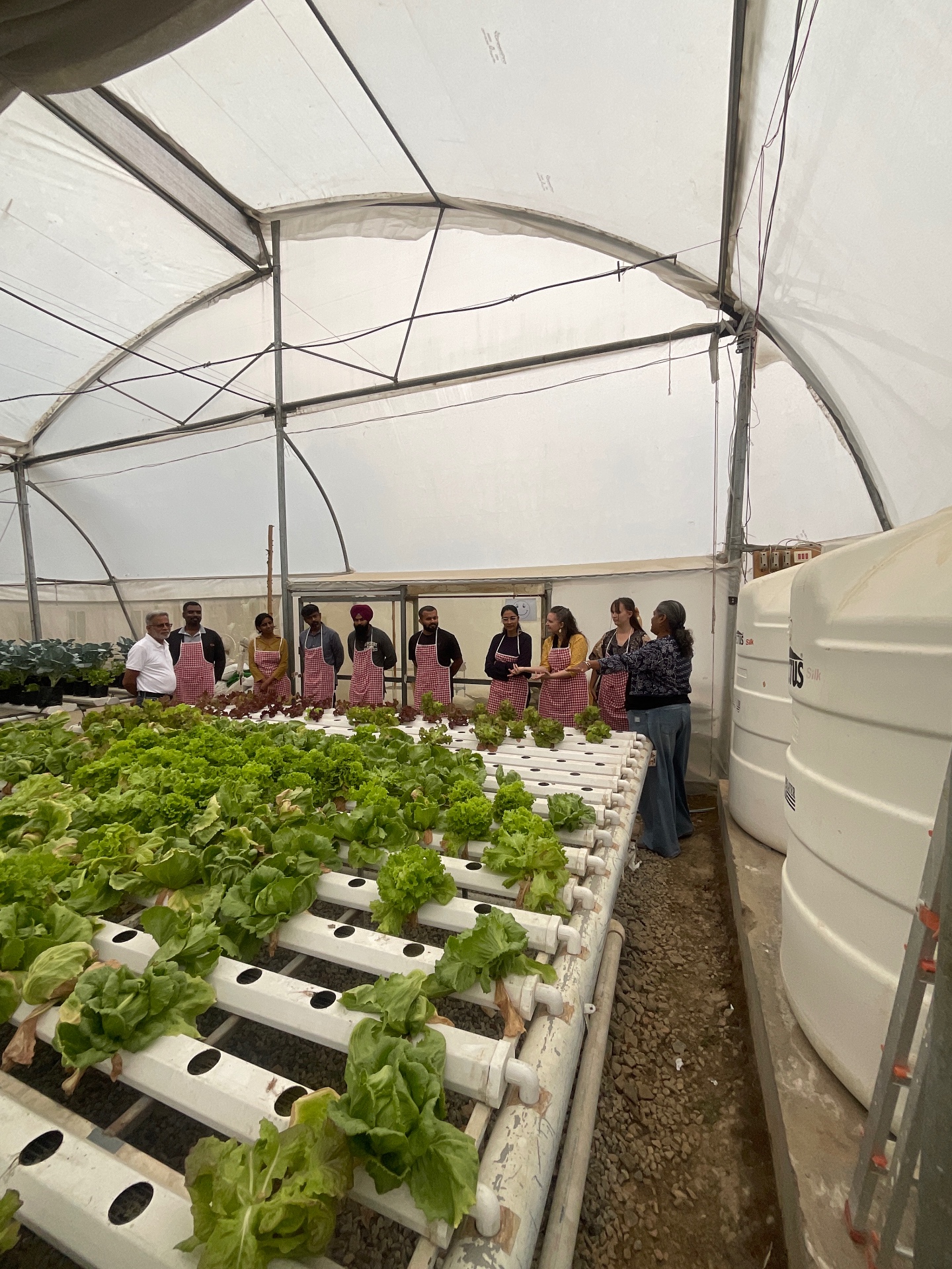 Transplanting, harvesting, and feeling the full cycle
