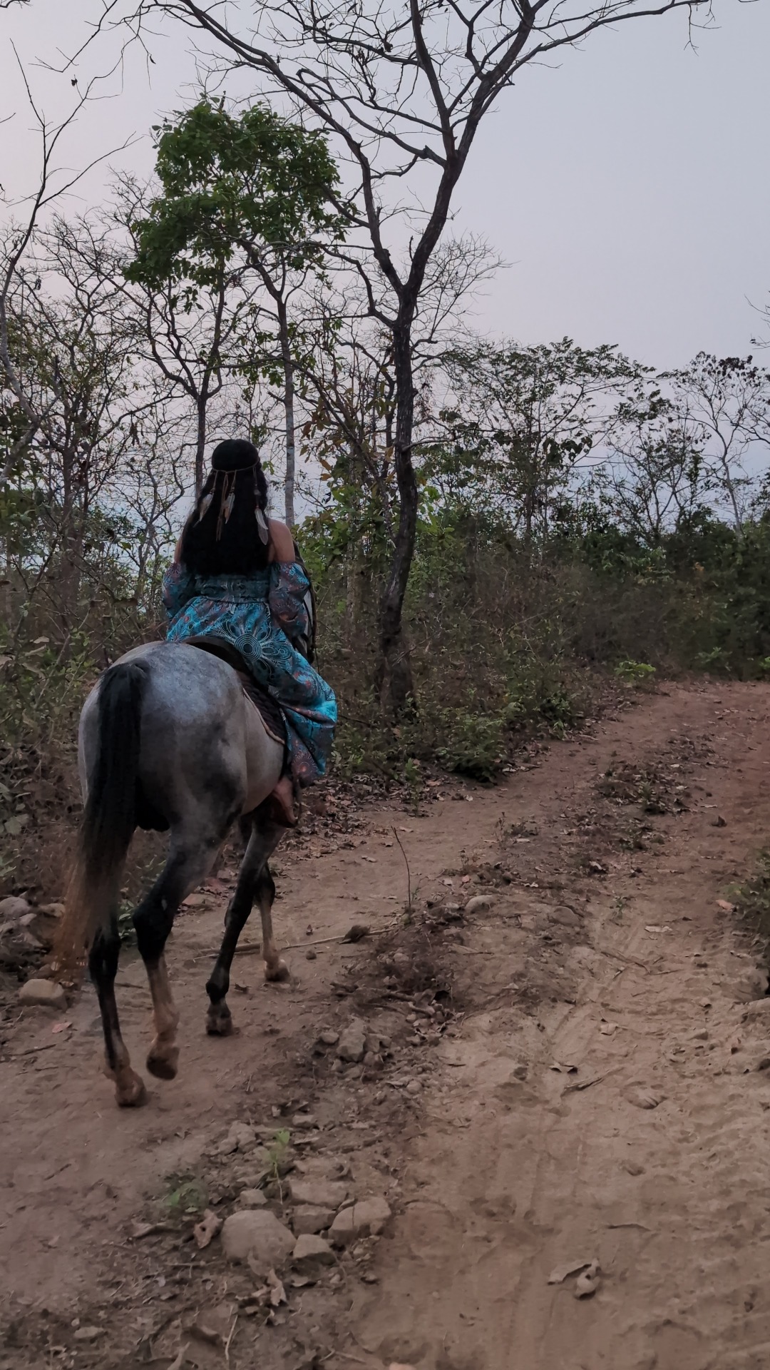 How I Found My Groove with the Horses