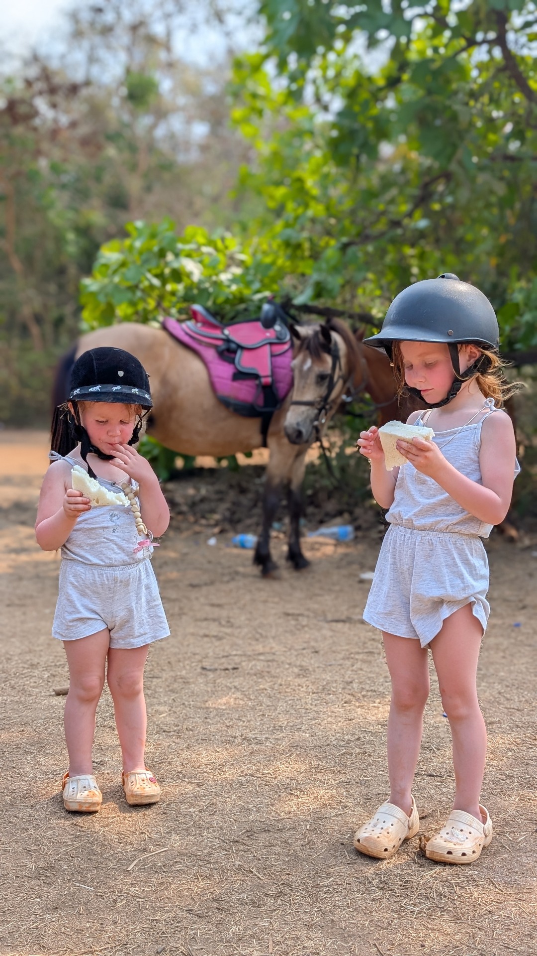 How it all starts: chilling at the ranch with horses