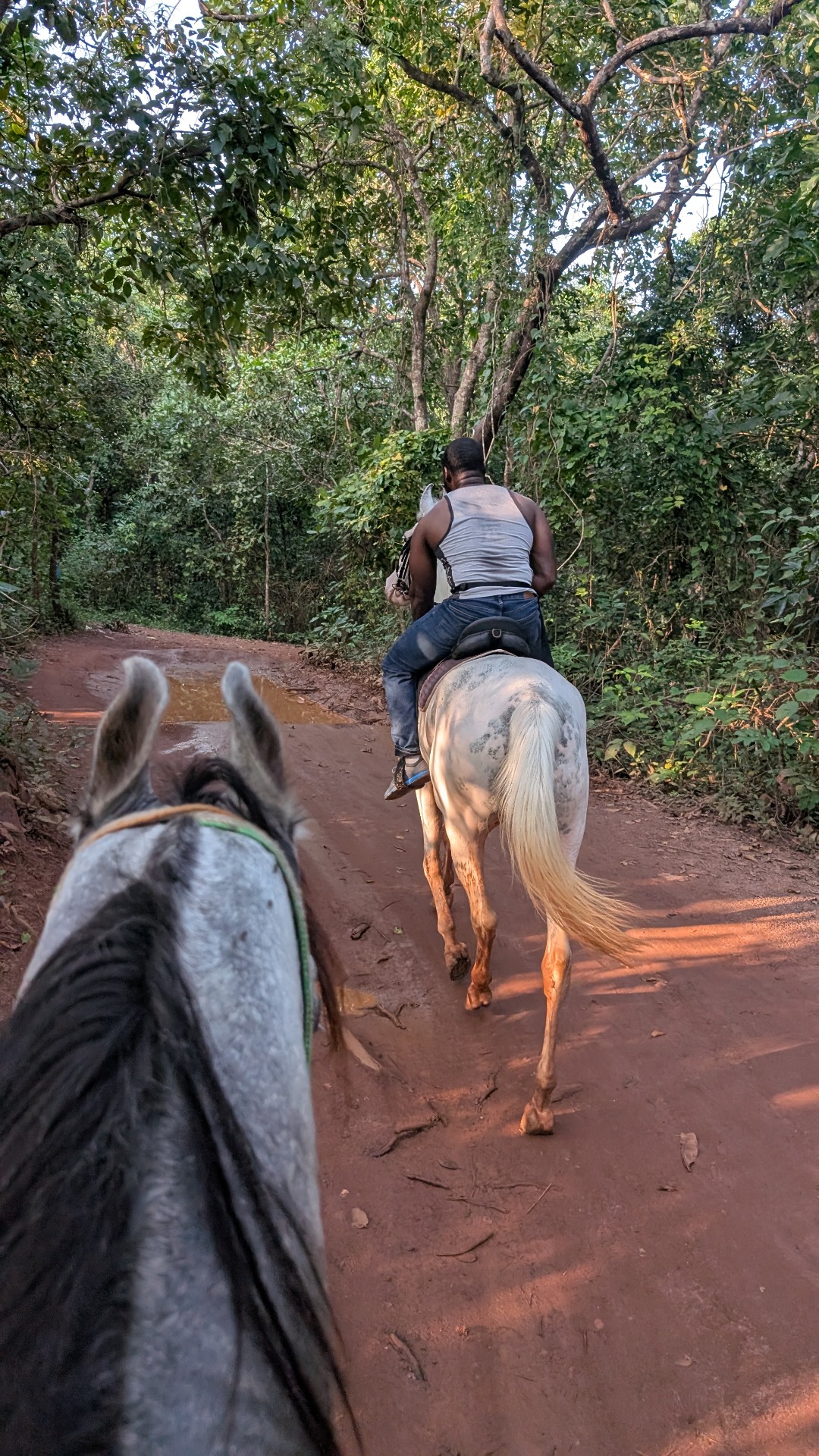 The Ride Through Goa’s Hidden Jungle Was Pure Magic