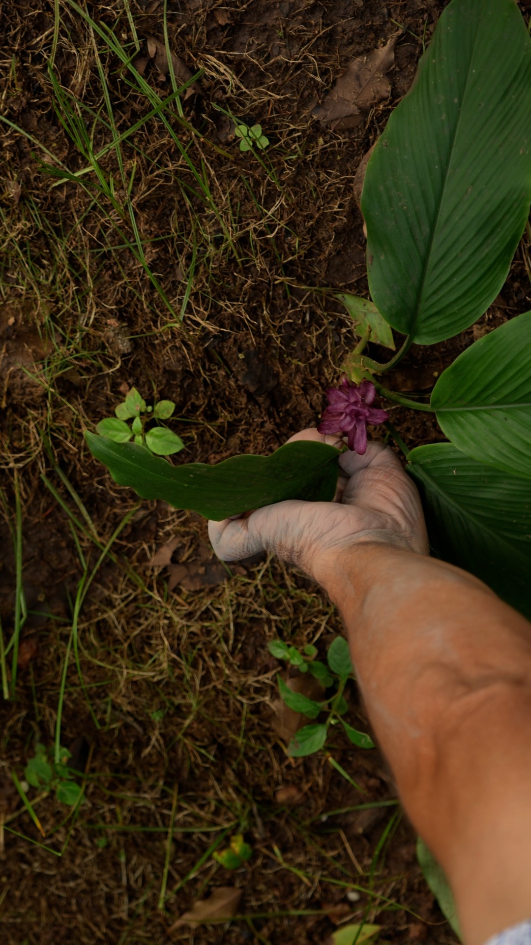 Shaping my own little masterpiece