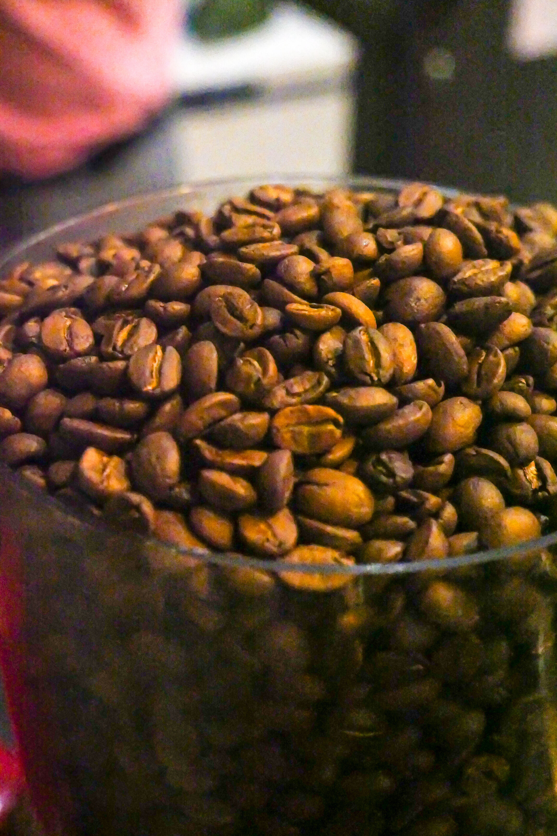 How It All Began with a Sip and a Story