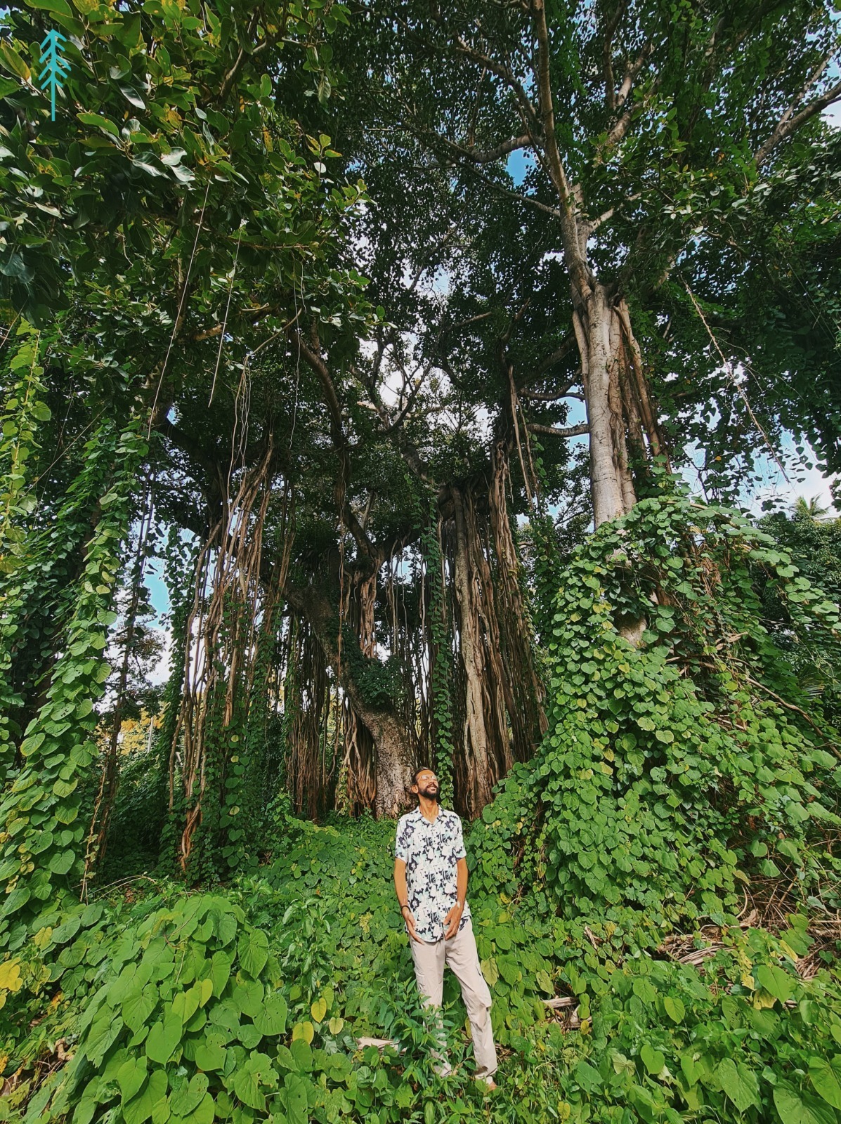 Starting the Day Right with Nature’s Calm and a Chill Ice Bath