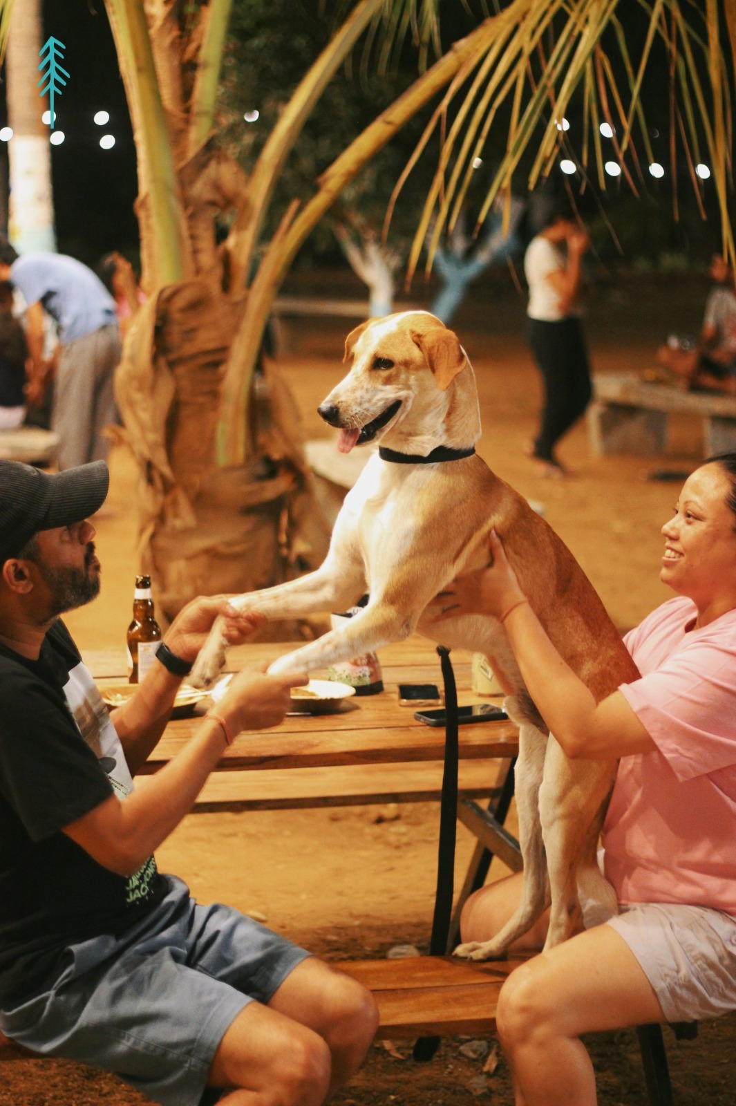 Slow Walks and Sweet Goodbyes