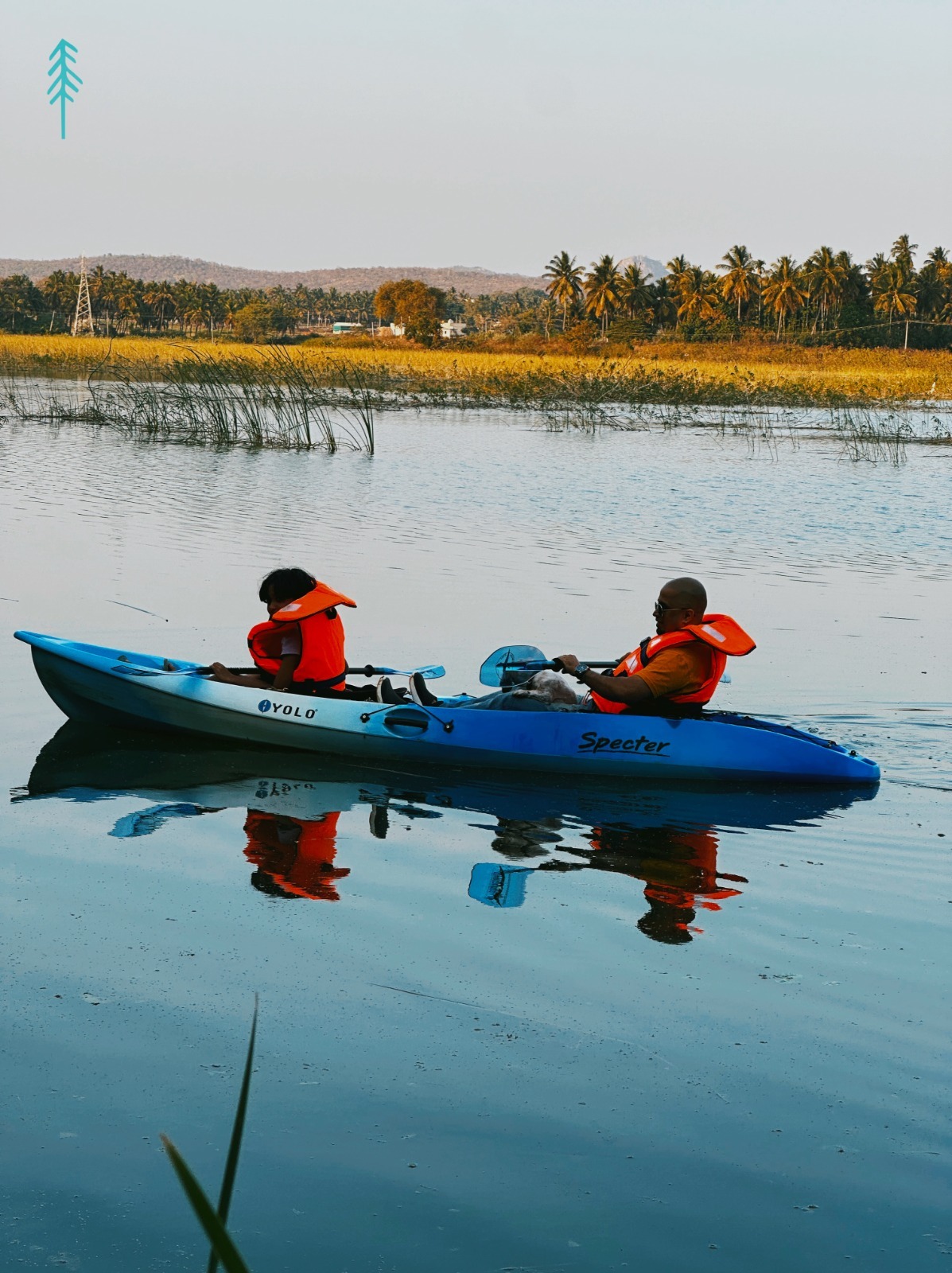 Lunch, Kayaking, and Hammock Time: The Perfect Balance