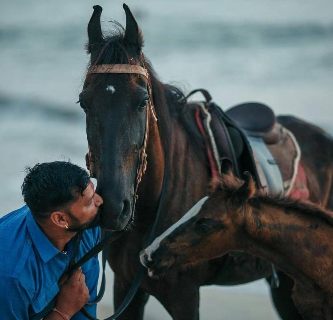 Getting Cozy with the Horses Before the Ride