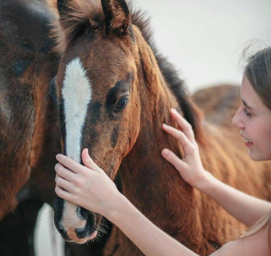 Getting acquainted with your new four-legged friend