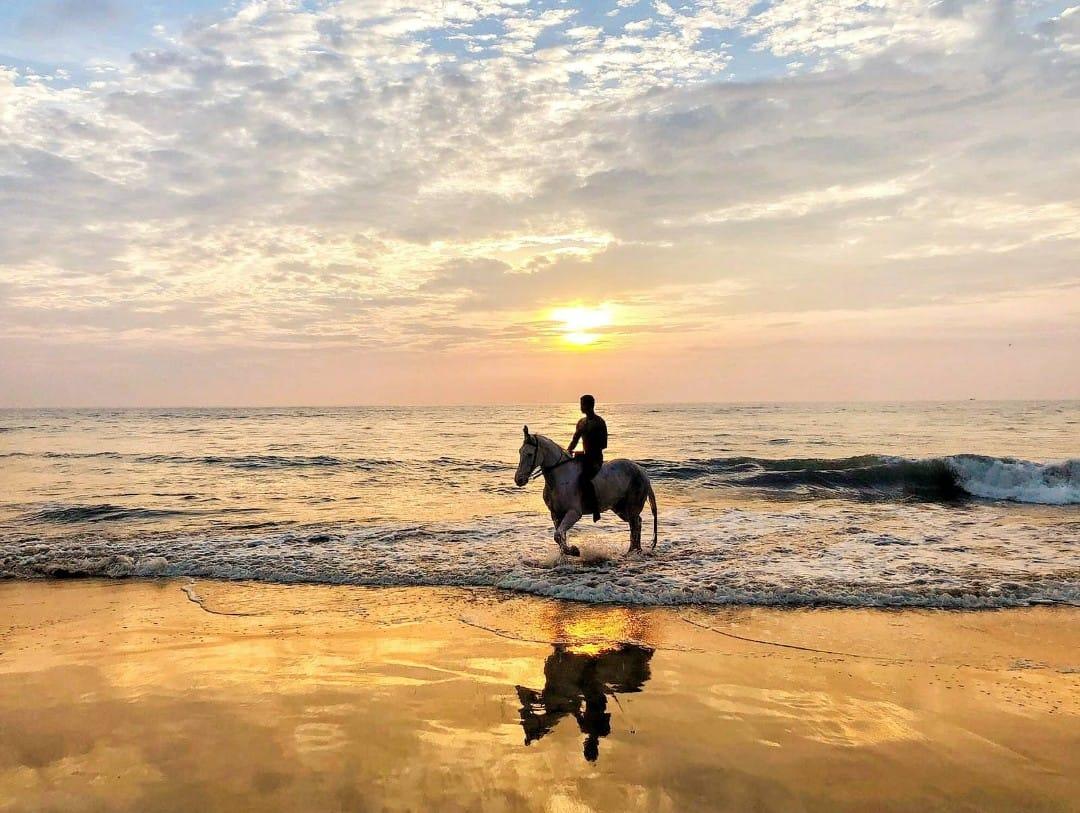 Solo rider on horse walking through shallow waves under bright morning sky.