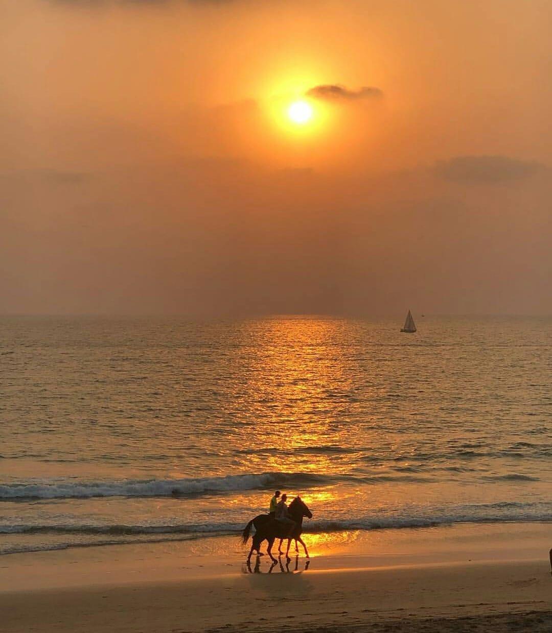 Feeling the Rhythm: The Guided Ride Along the Shore