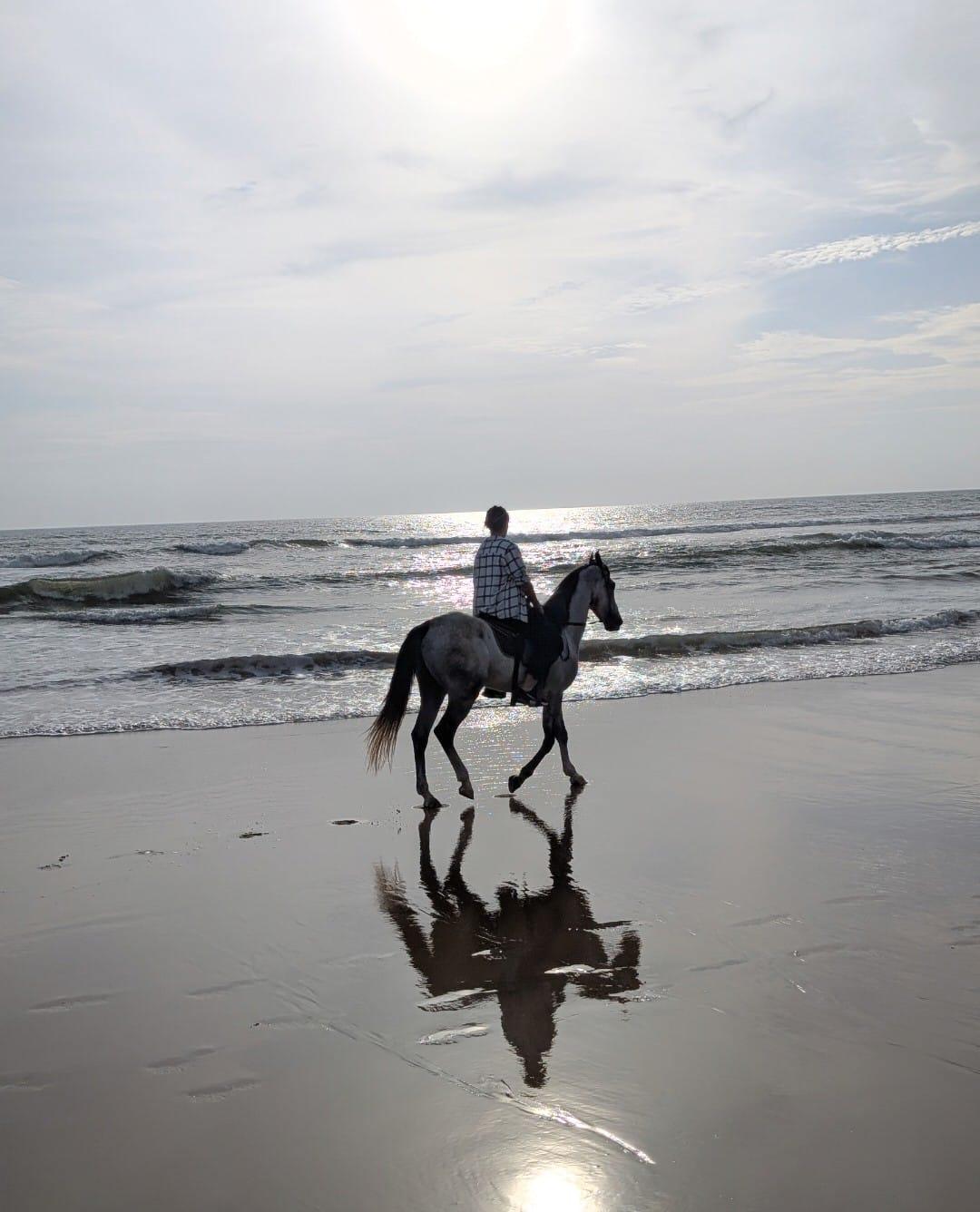 The Perfect Blend of Adventure and Relaxation