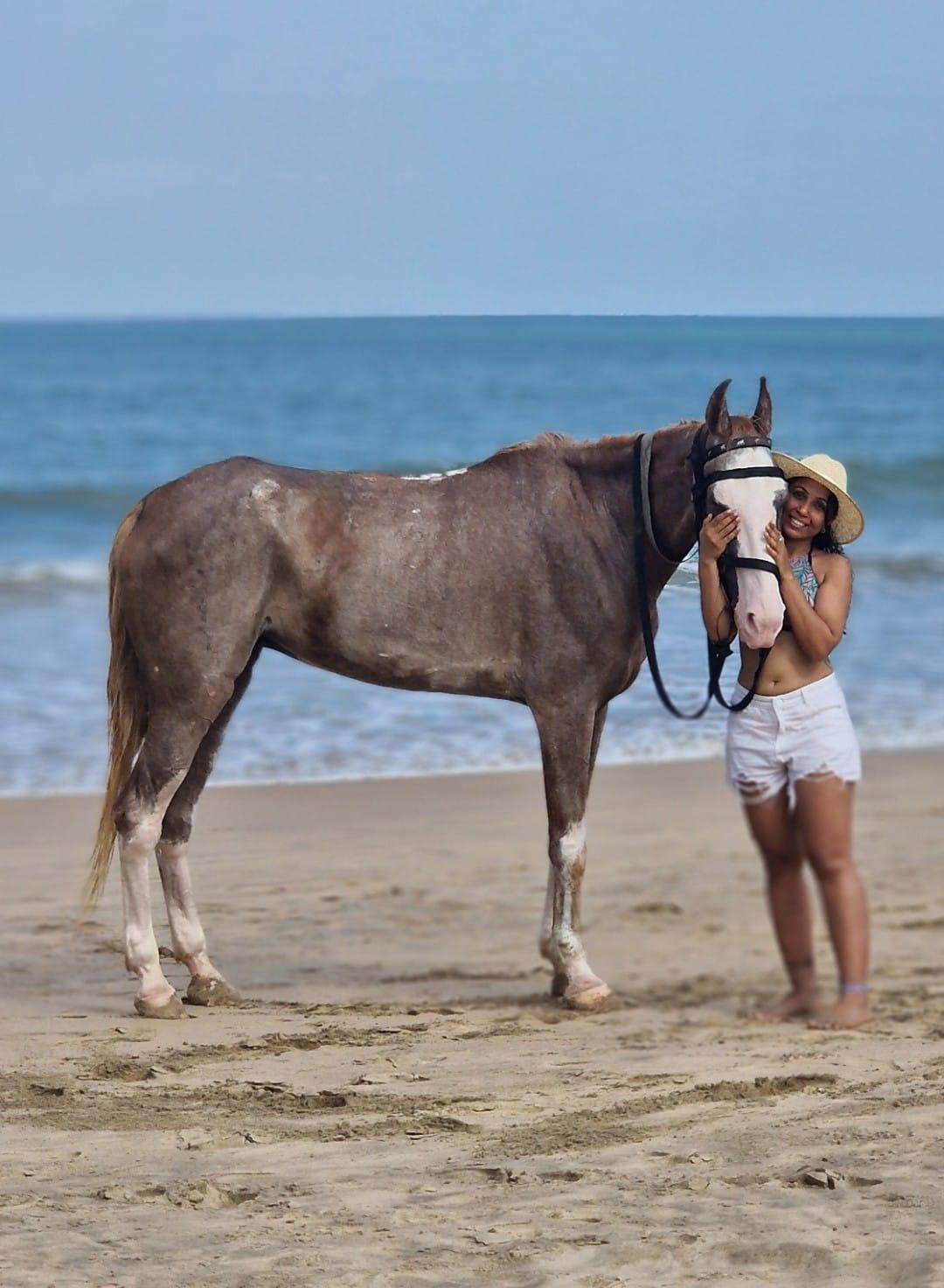 Safety, Comfort, and a Little Extra Magic