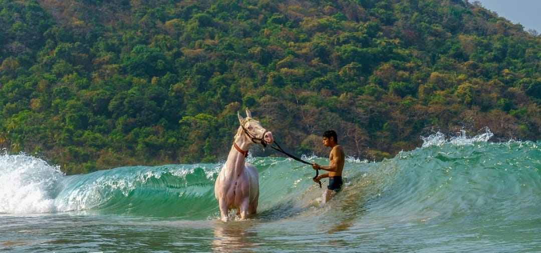 What others are saying about this unforgettable ride