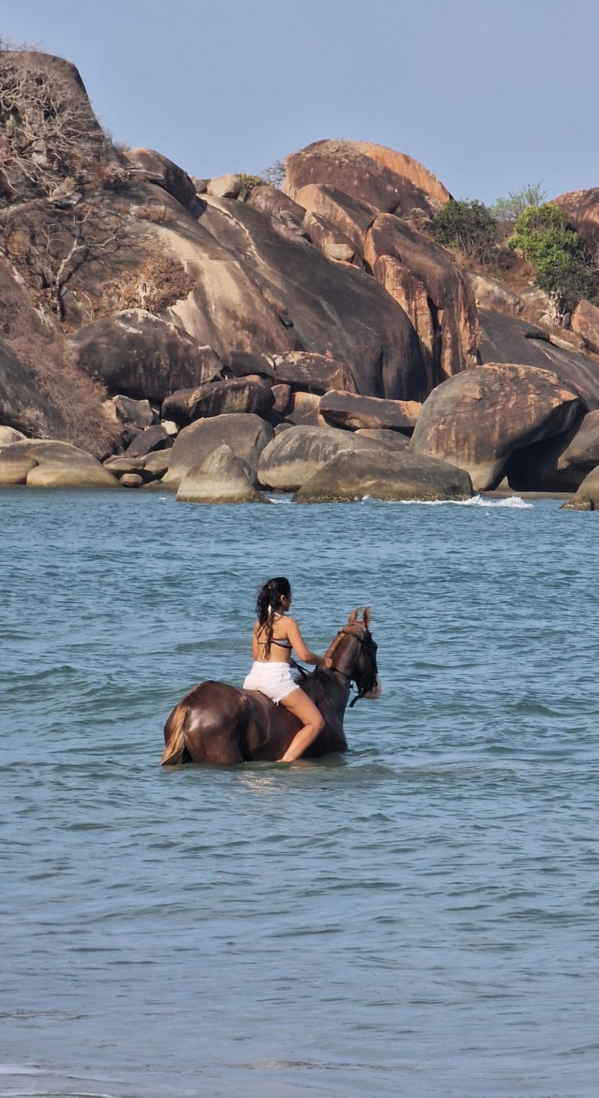 Woman on horseback in shallow ocean water looking towards horizon at beach surf with horses.