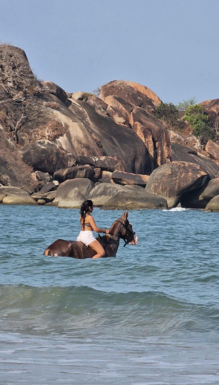 That Unforgettable Ride Along Shore and Sea