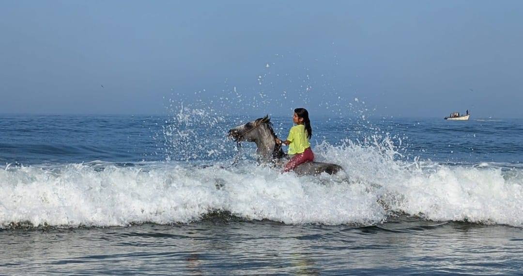 Why riding horses on the beach feels so special