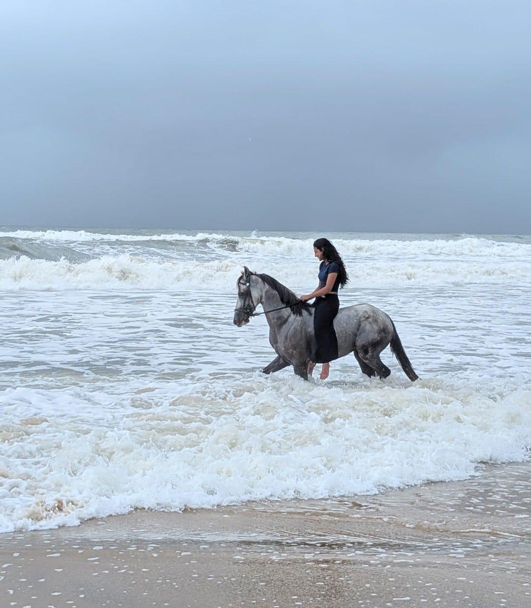 Woman riding a white horse walking through sea waves on the beach.