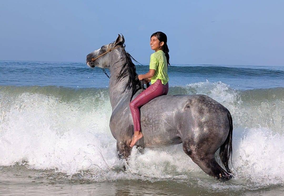 How easy it is for beginners and what to expect