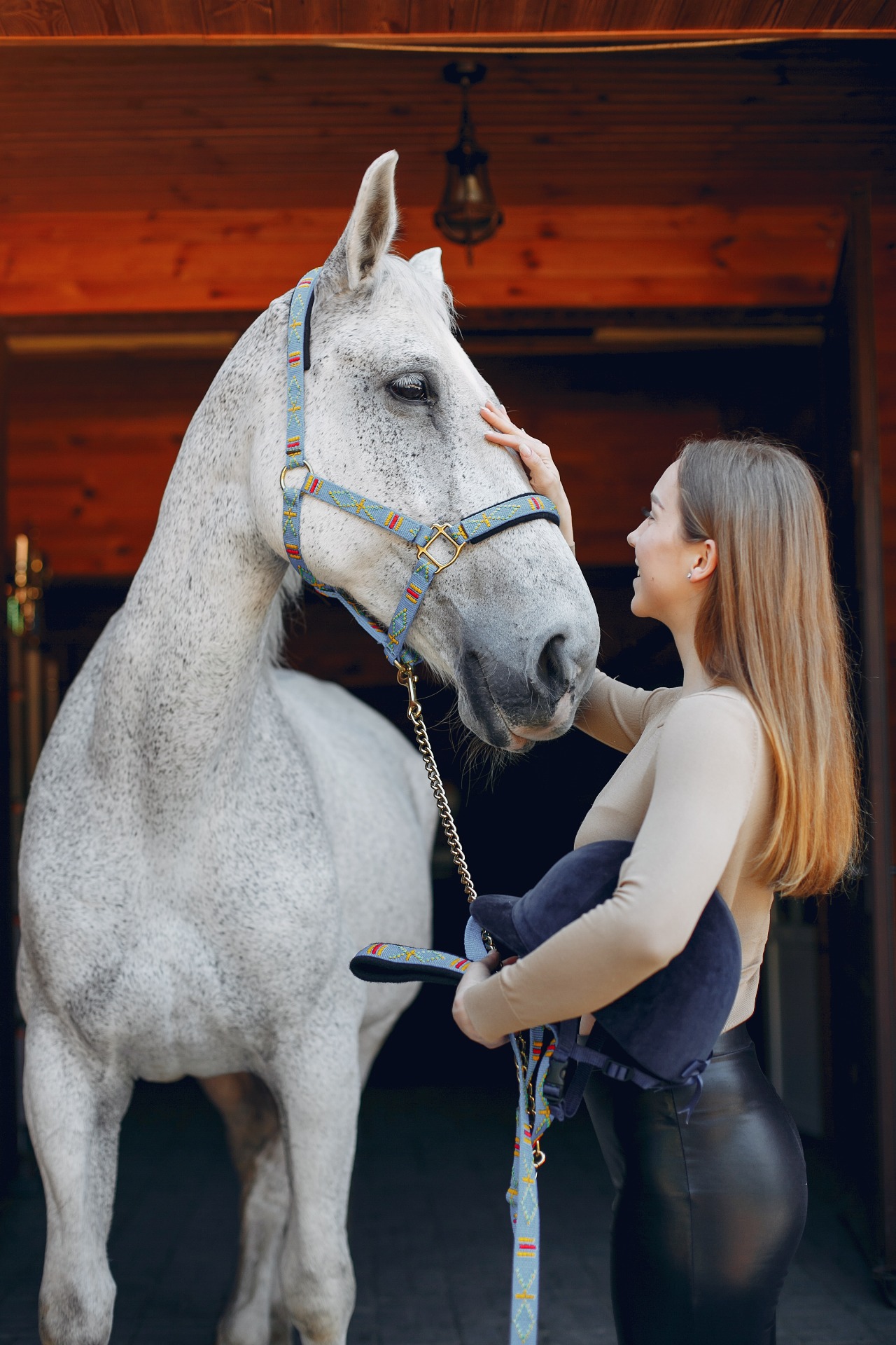 Woman standing beside a grey horse in a stable, gently petting its face.